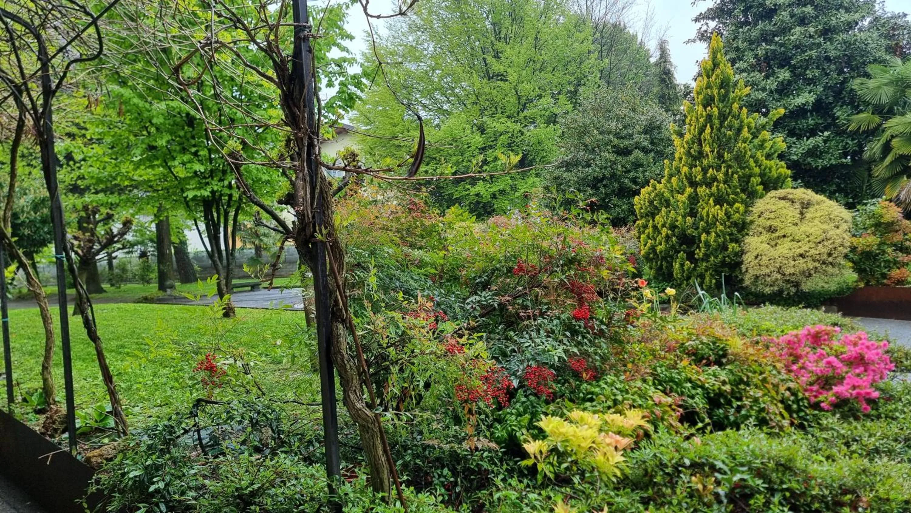 Albergo Ristorante Trieste Boves