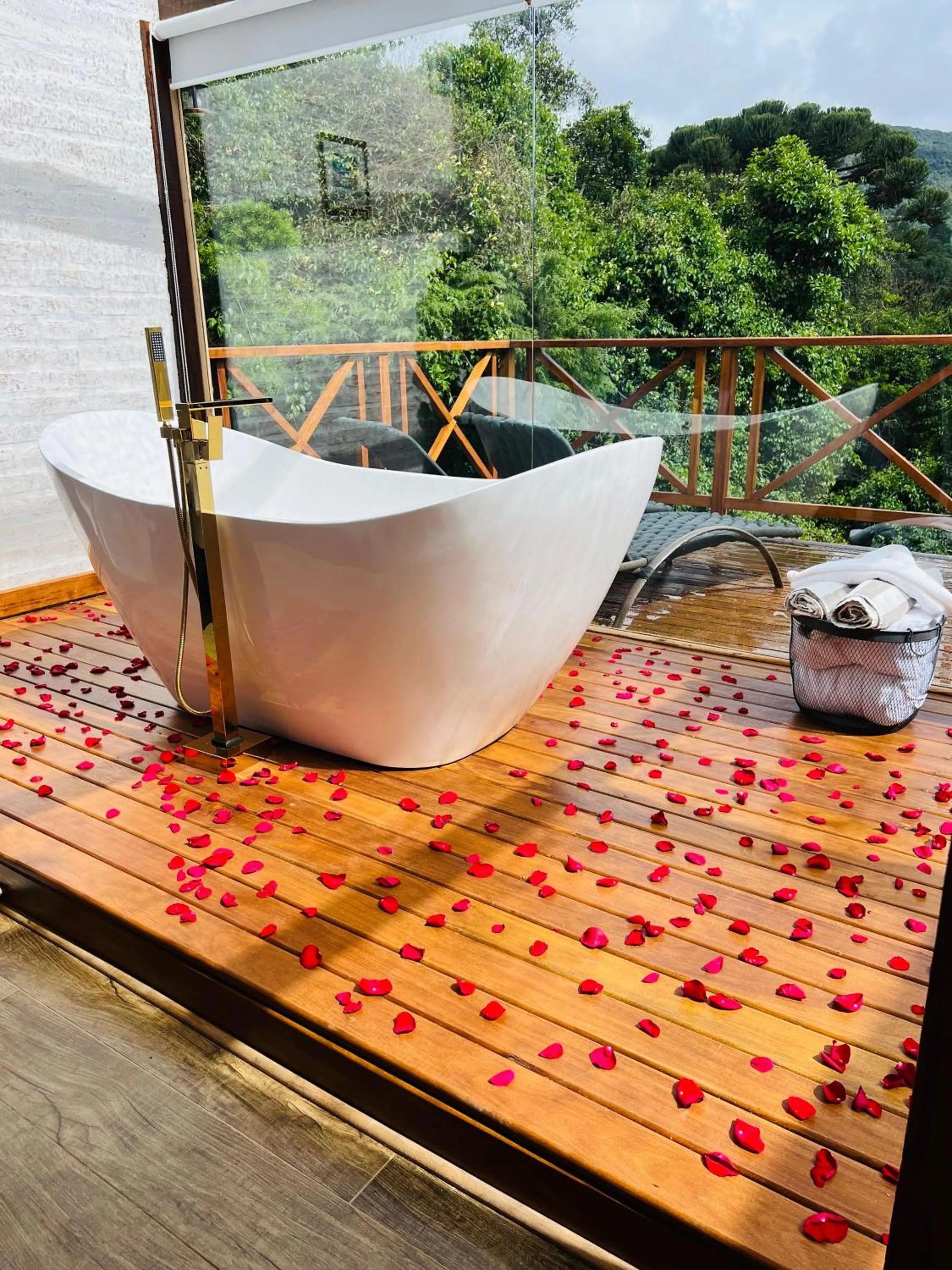 Natural landscape in Pousada Villa Monte Verde