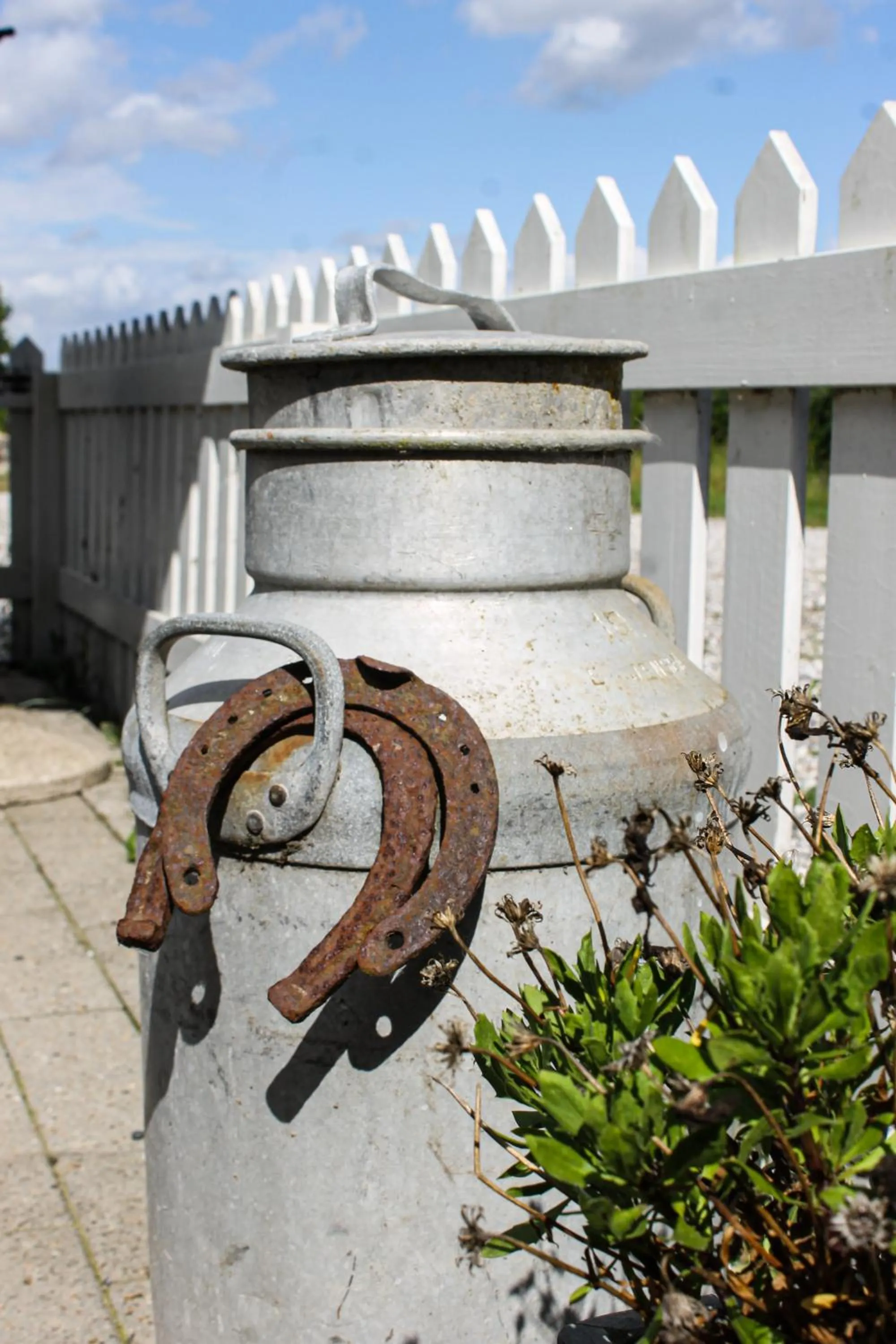 Garden in Sunbjerre B&B