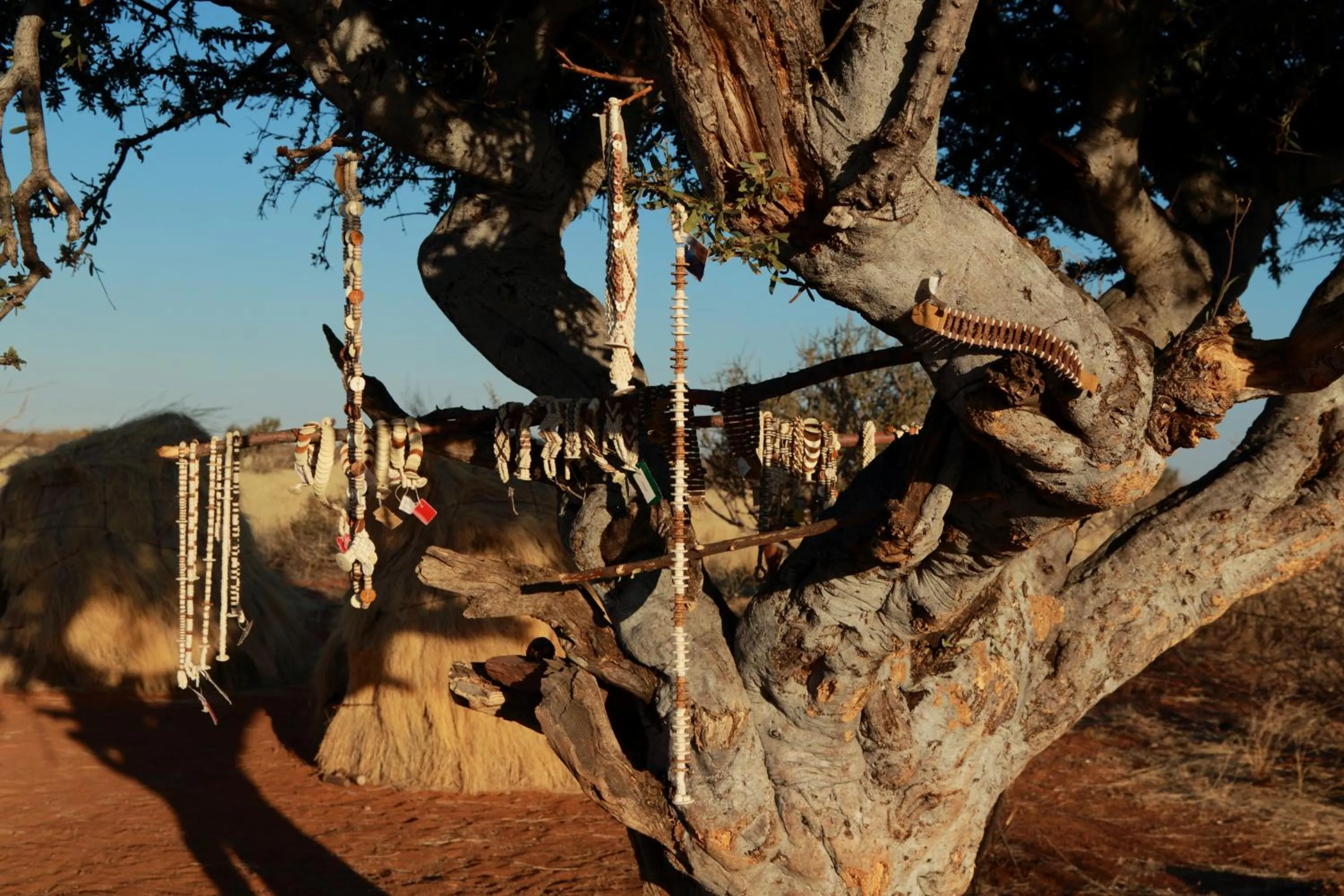 People in Lapa Lange Game Lodge