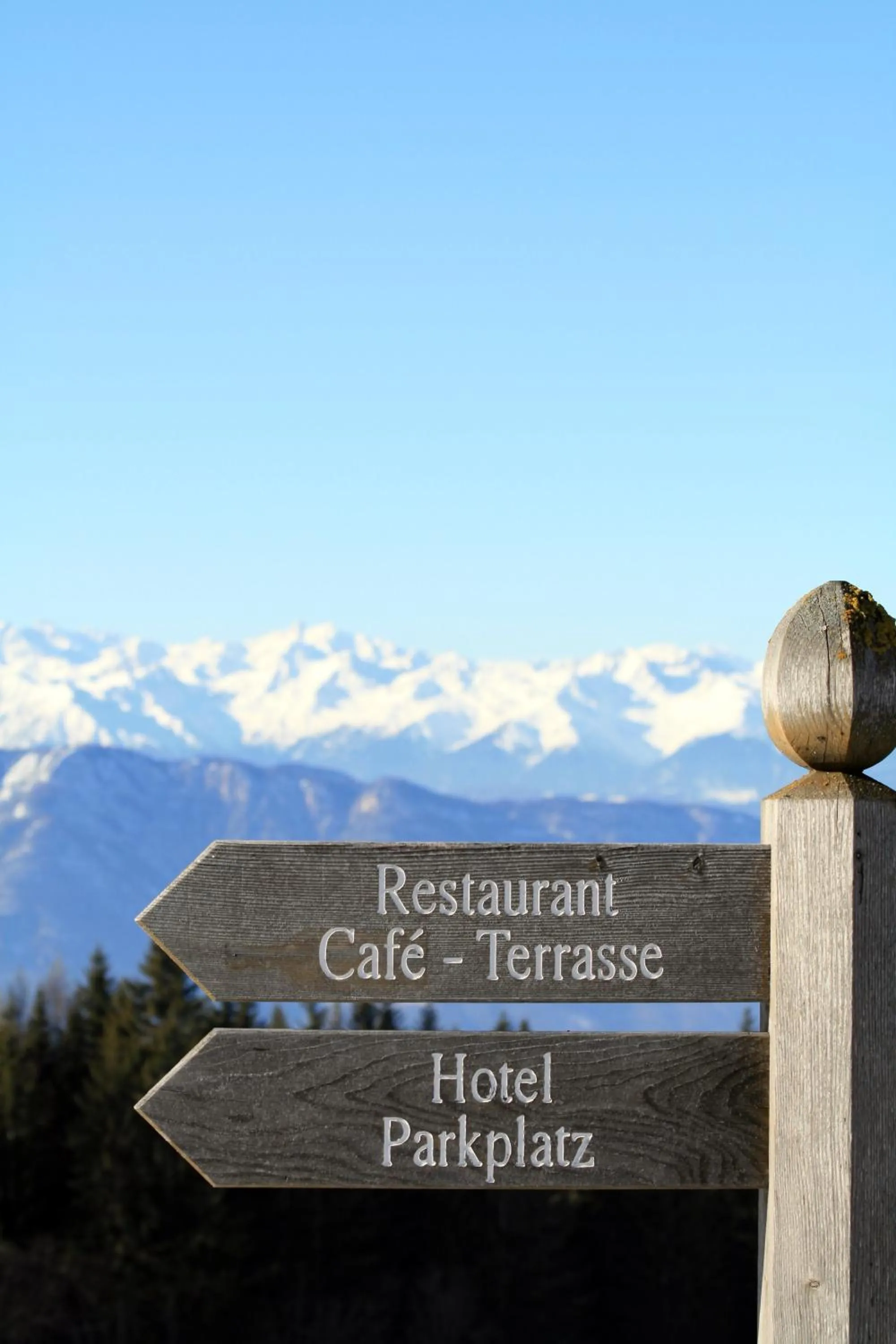 Logo/Certificate/Sign in Der Zirmerhof