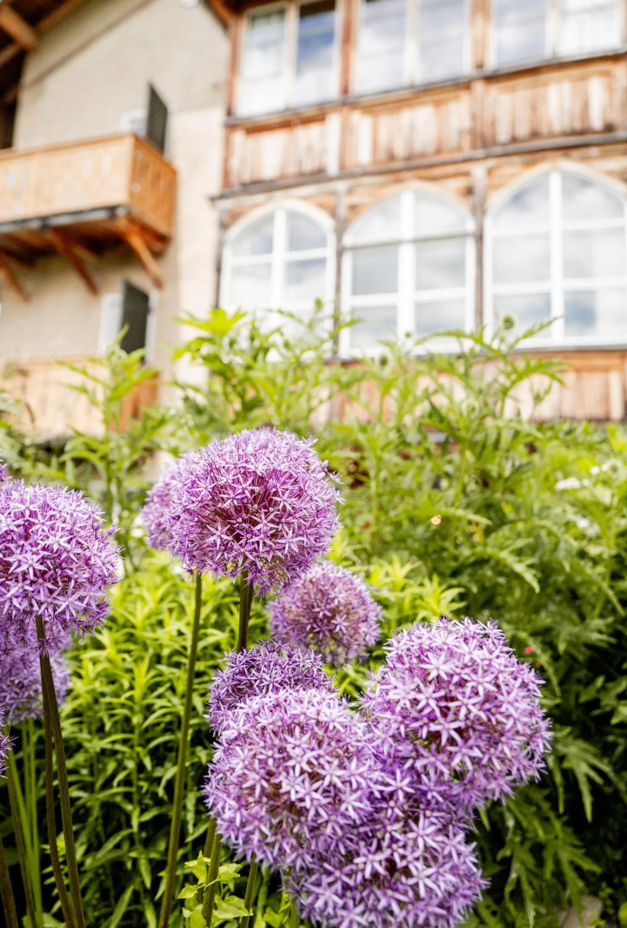 Property building in Der Zirmerhof