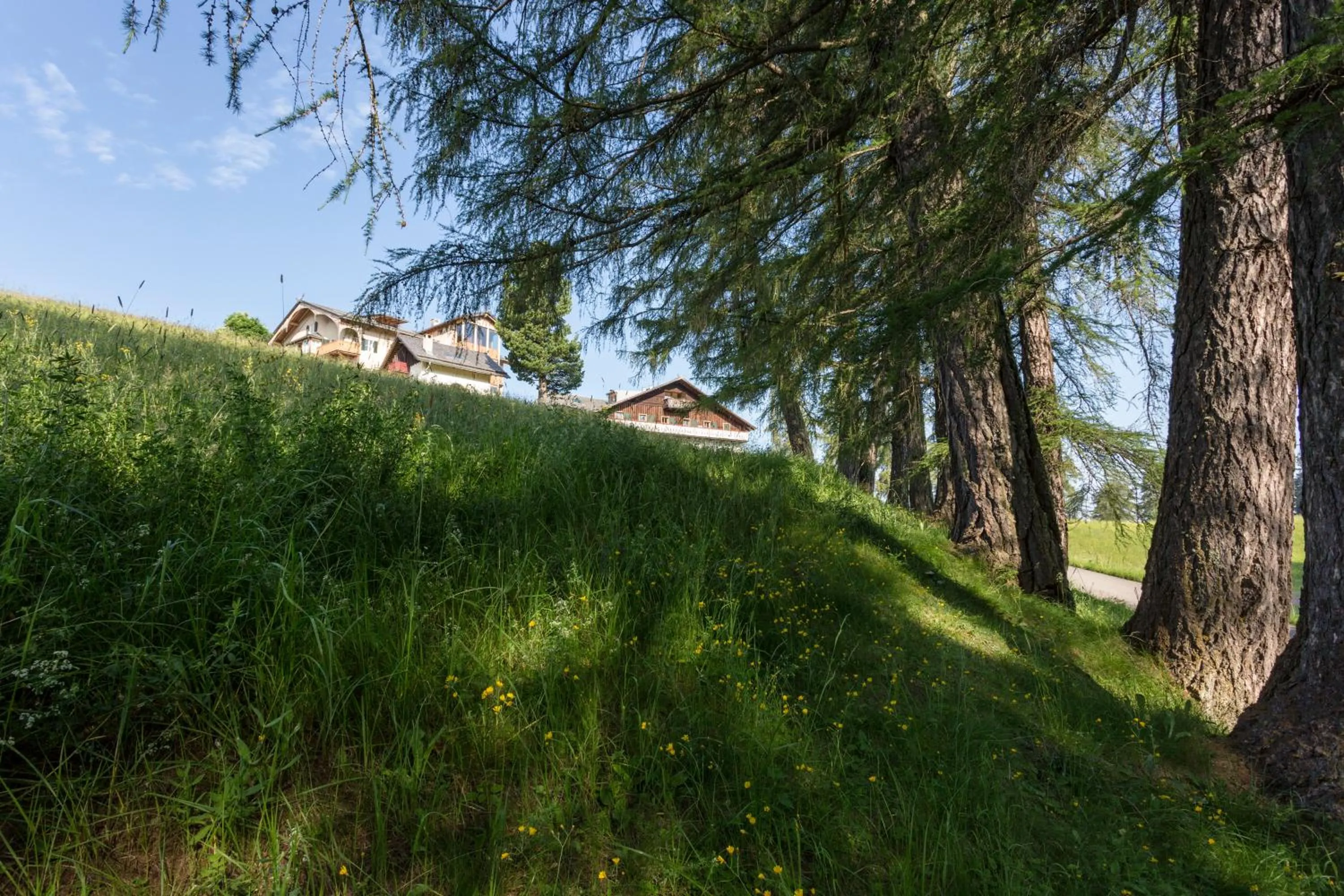 Nearby landmark in Der Zirmerhof