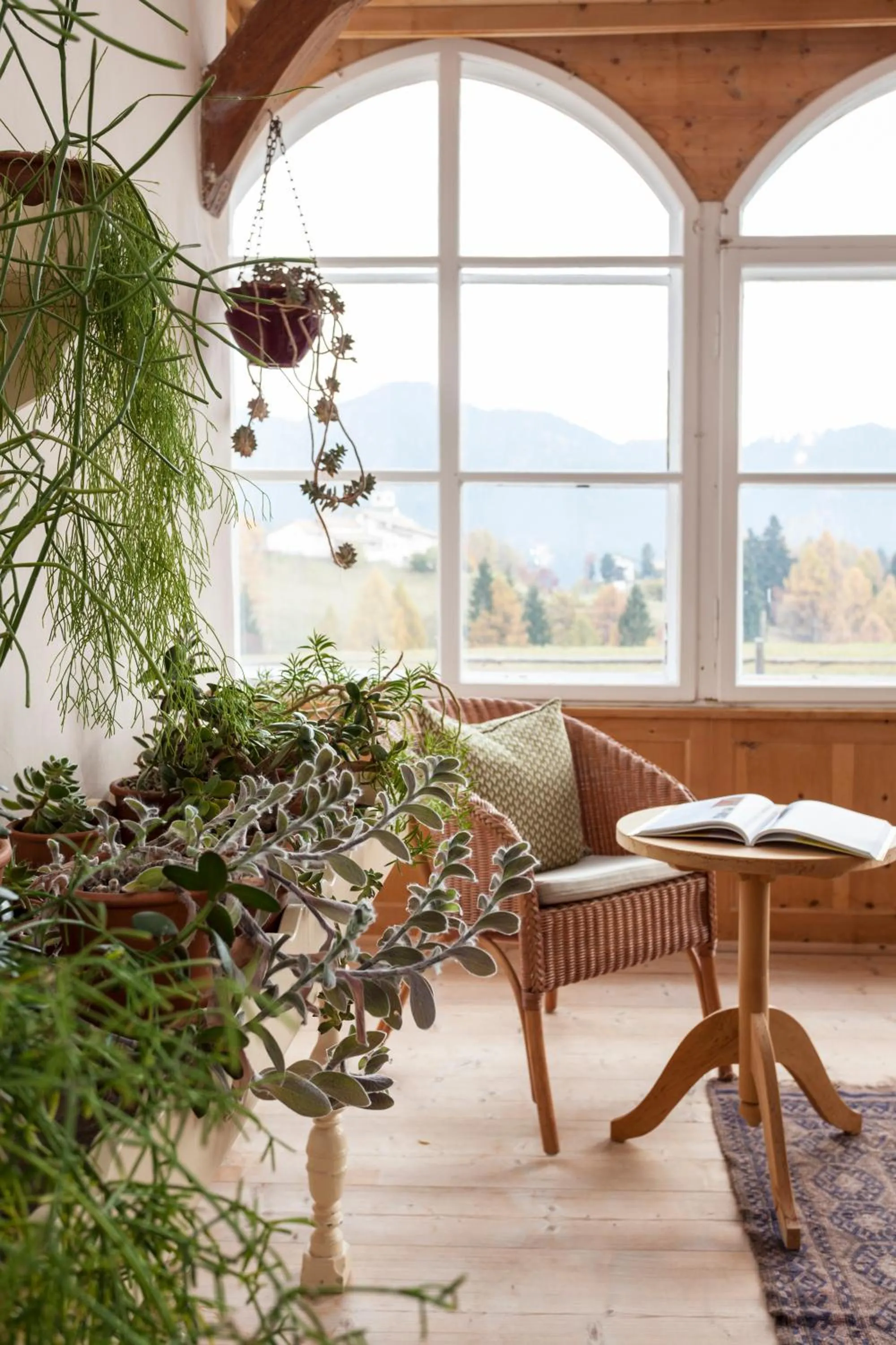 Natural landscape in Der Zirmerhof