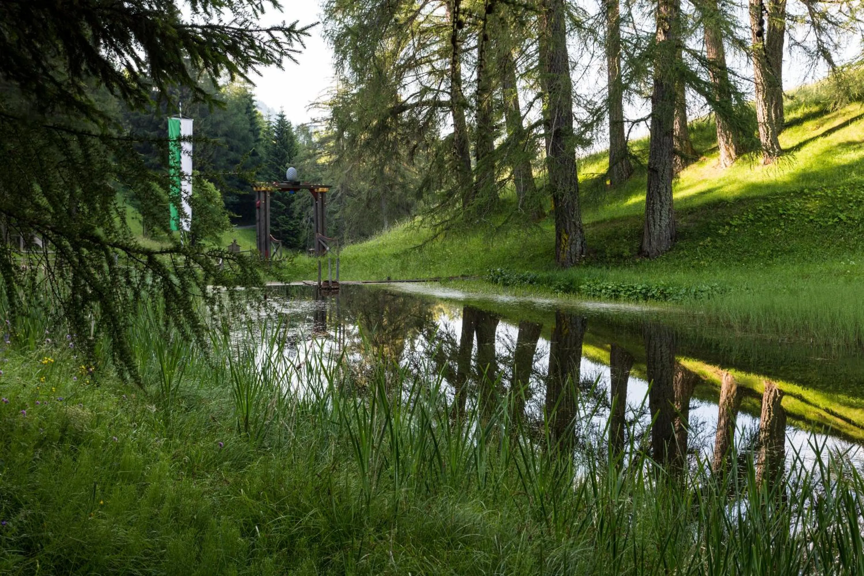 Day in Der Zirmerhof