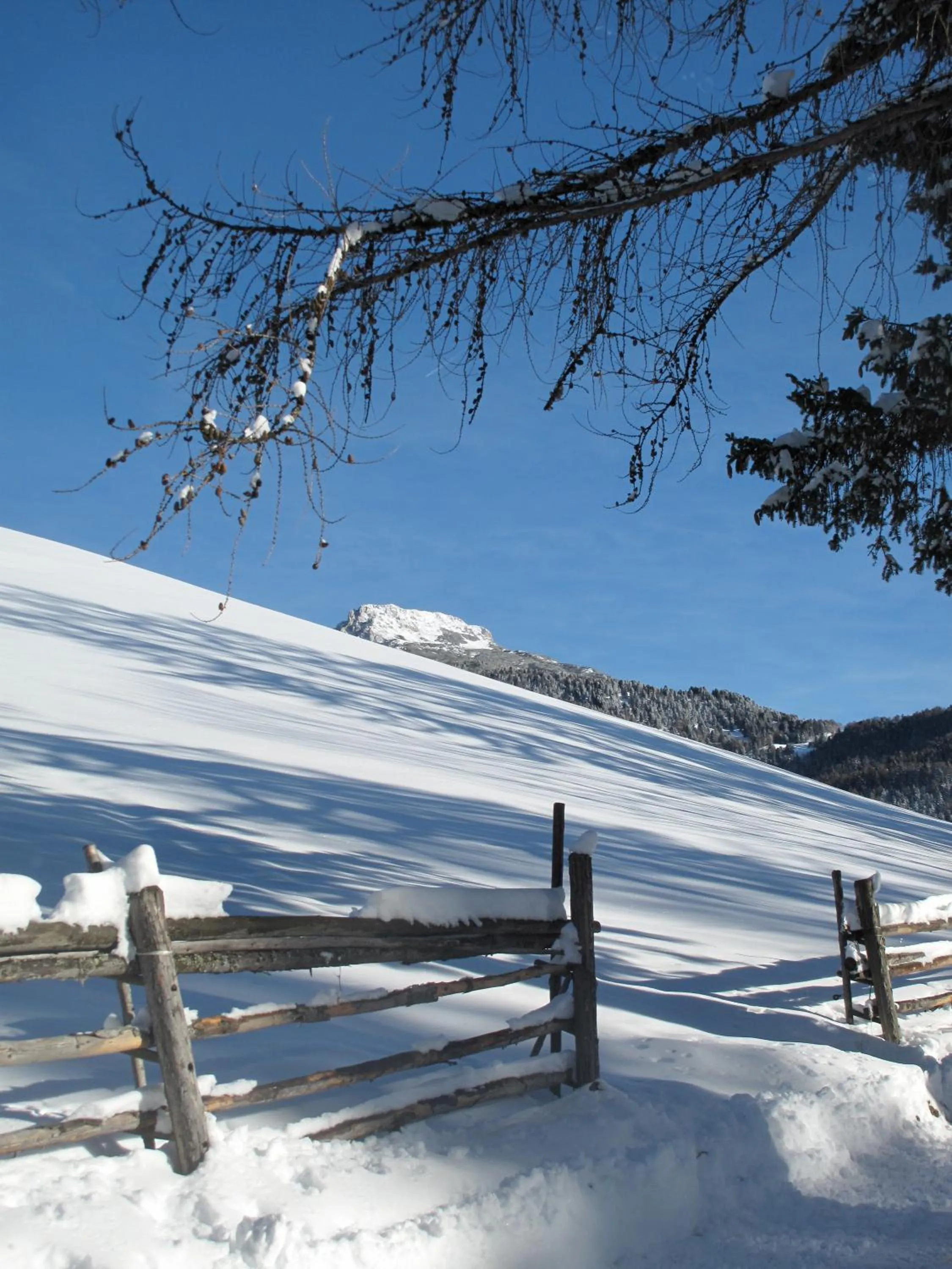 Area and facilities in Der Zirmerhof