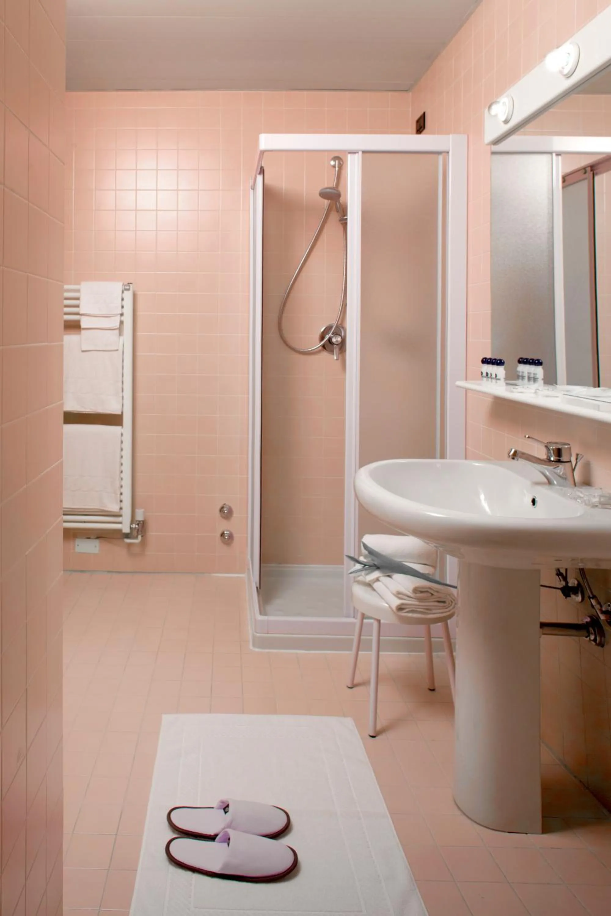 Toilet in Hotel Diana