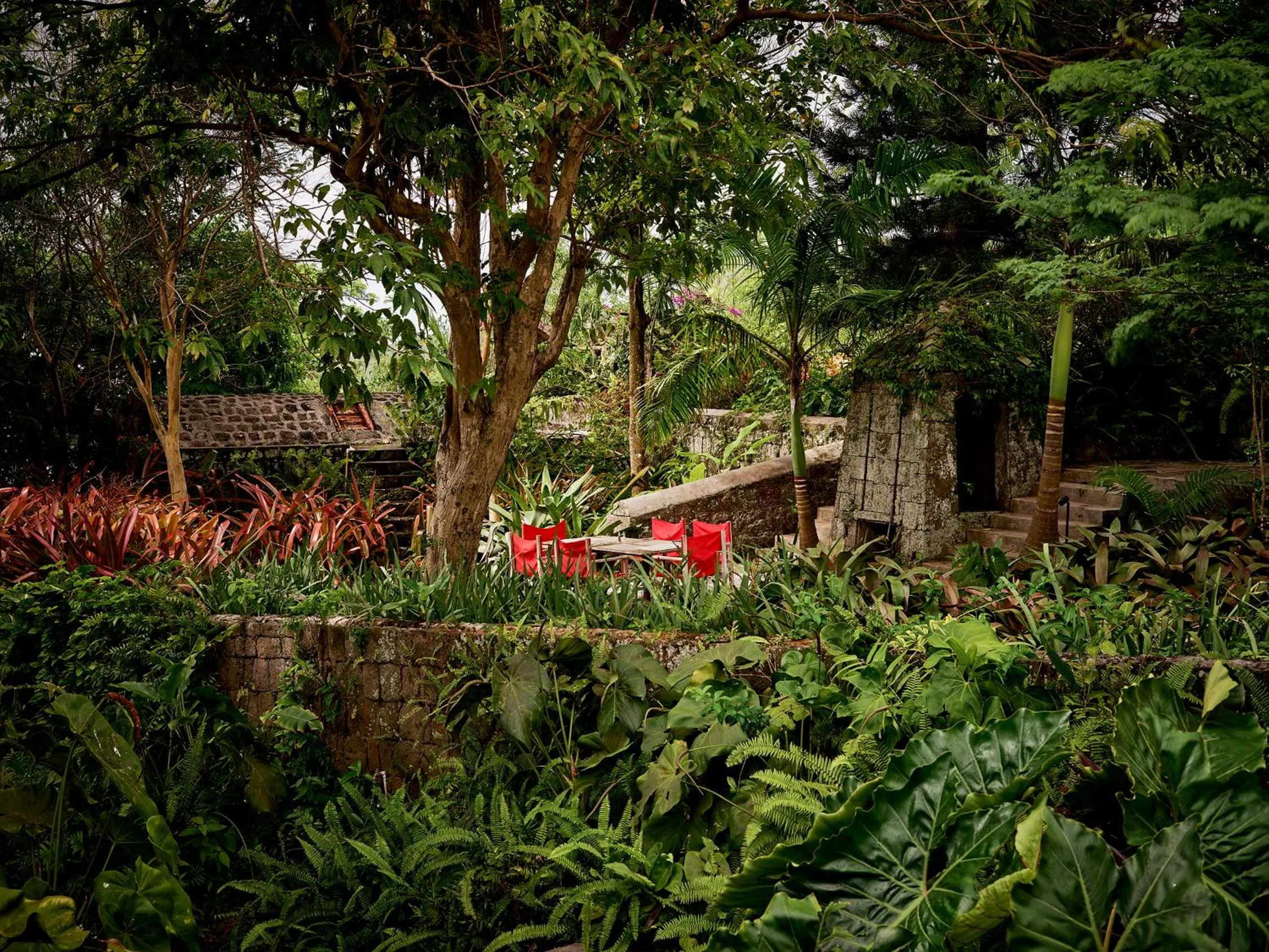 Garden in Golden Rock Nevis