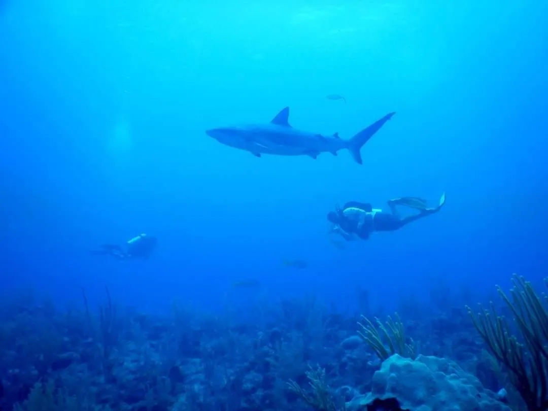 Activities in Corona del Mar