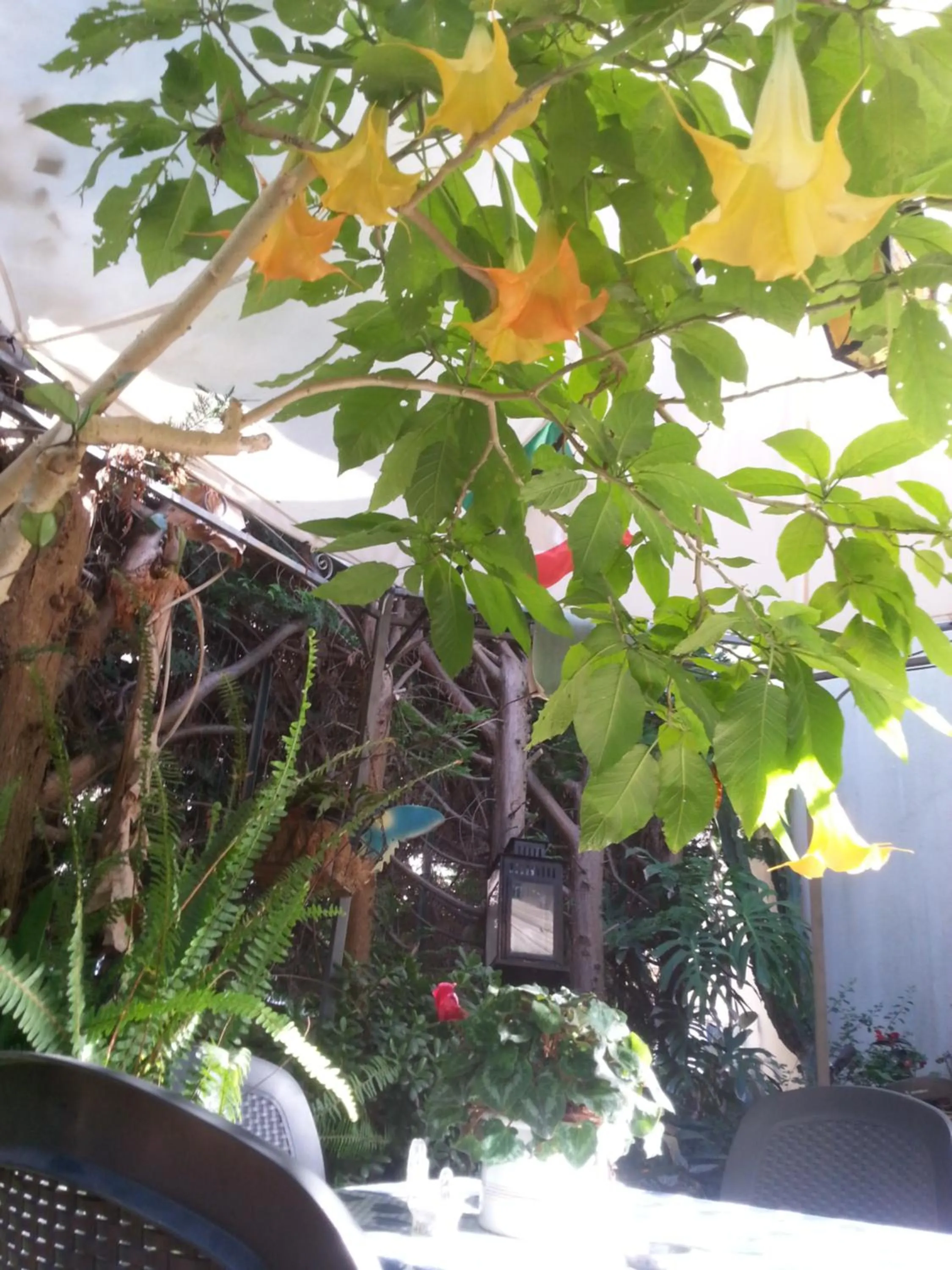 Garden in B&B Mare E Sole