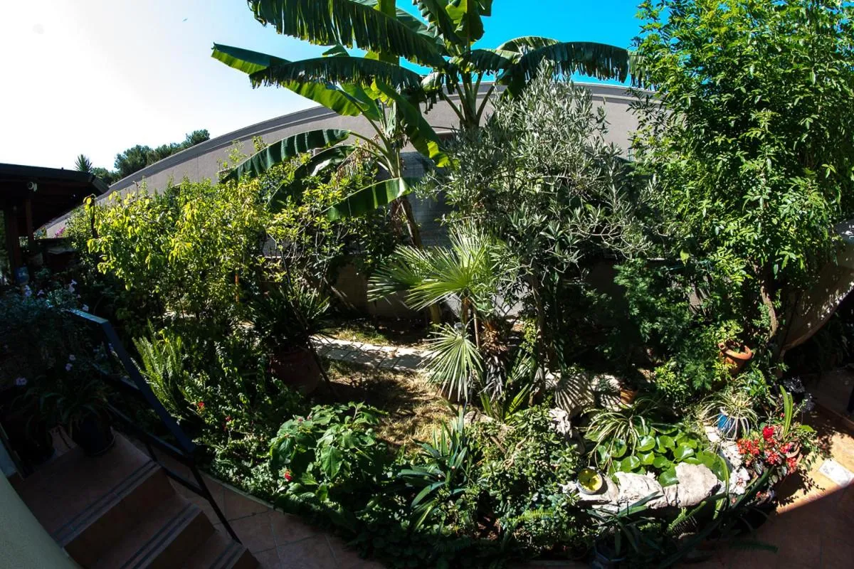 Garden in B&B Mare E Sole