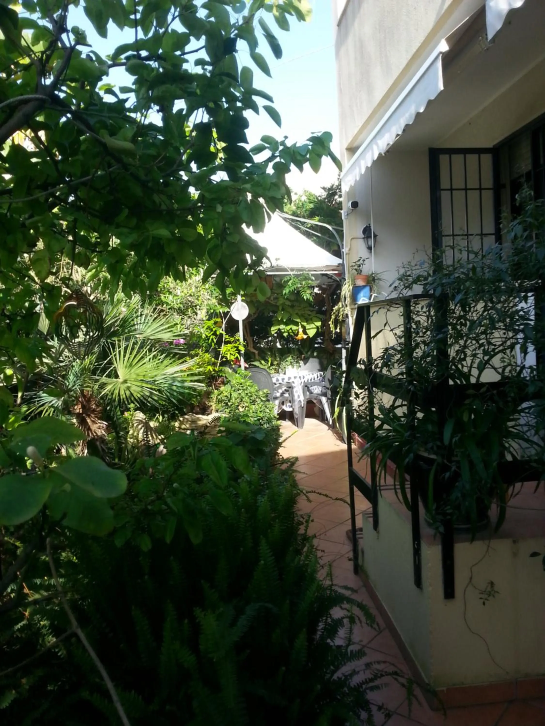 Garden in B&B Mare E Sole