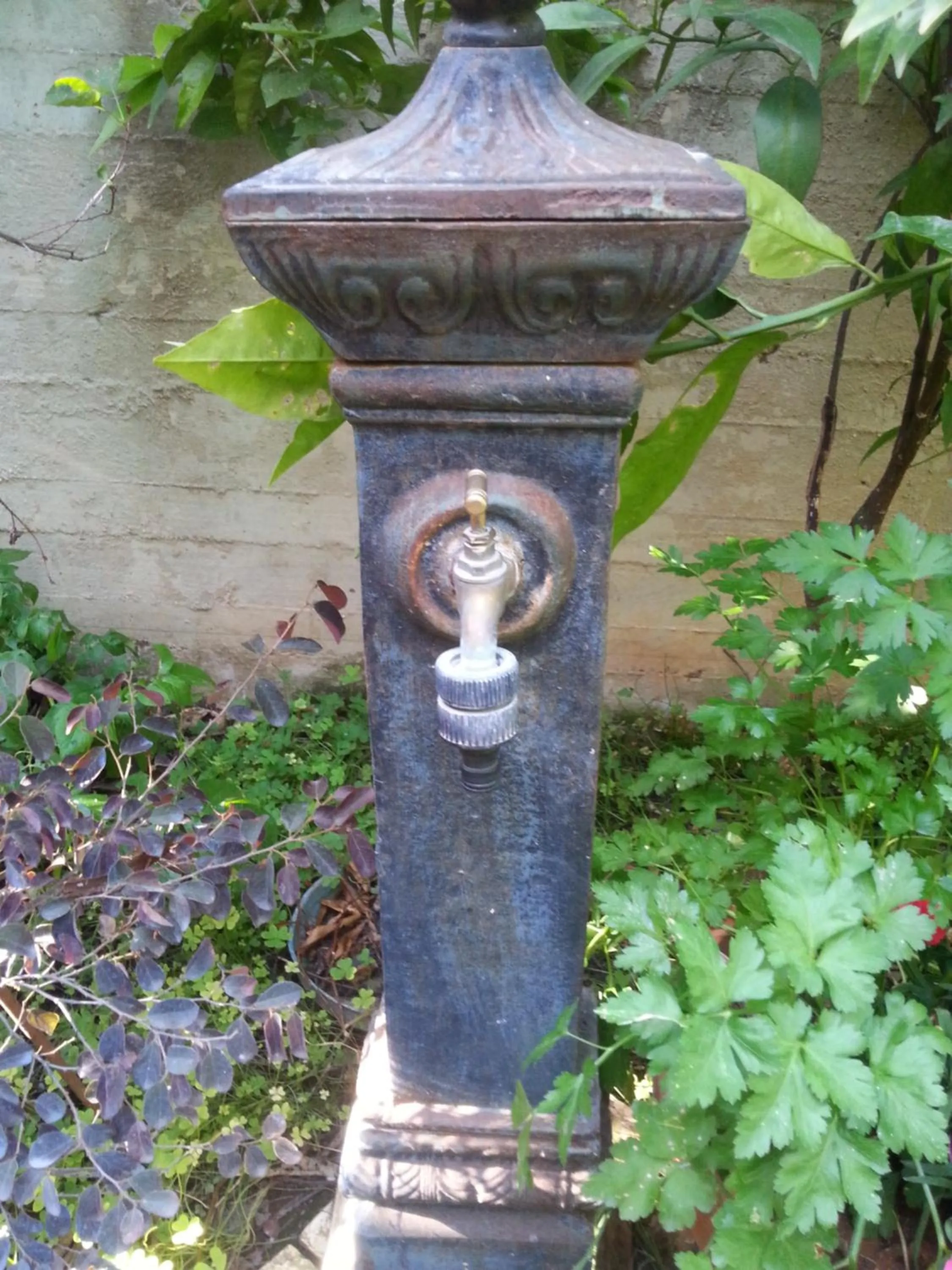 Garden in B&B Mare E Sole