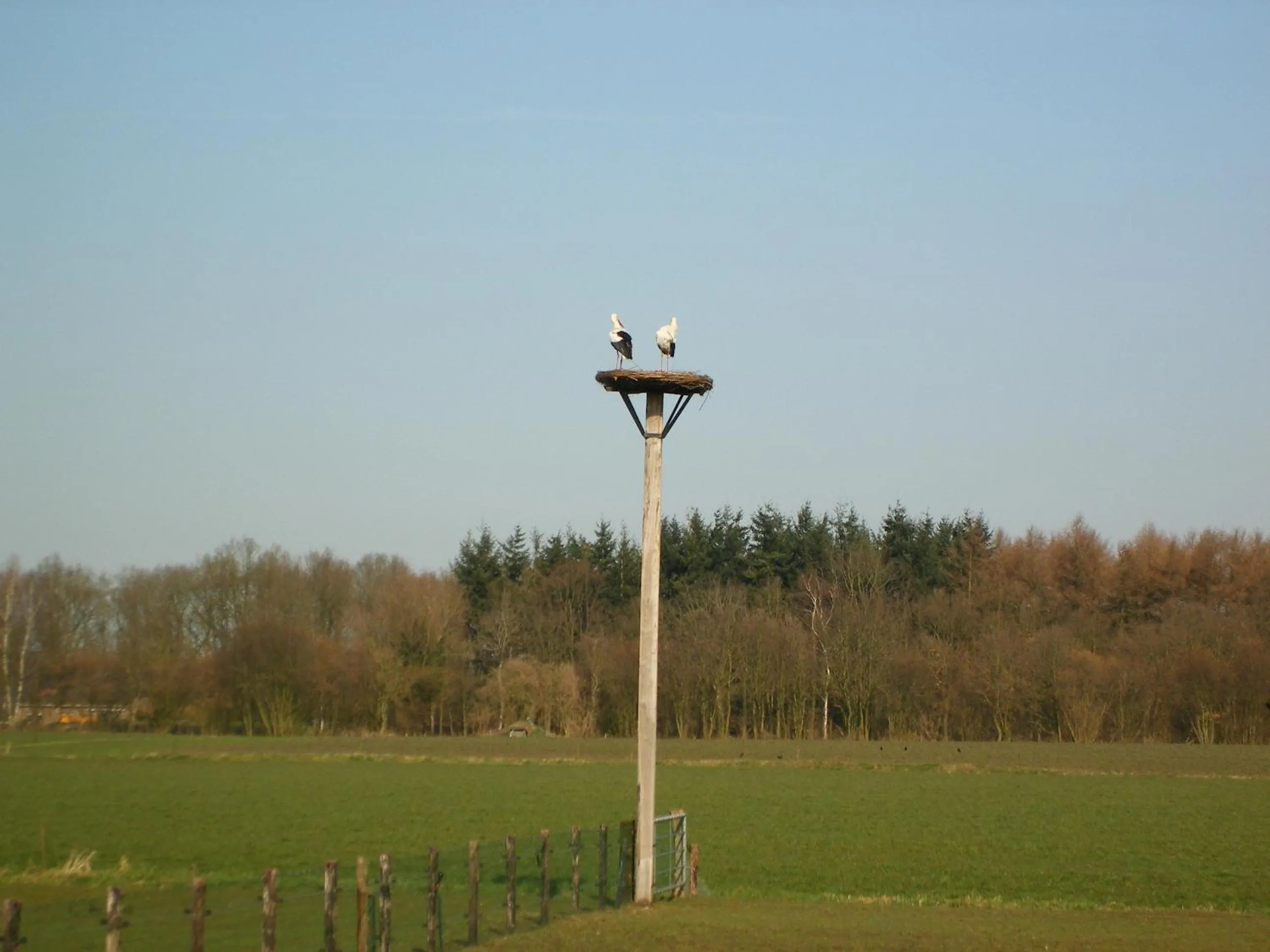 Other in Erve Dikkeboer