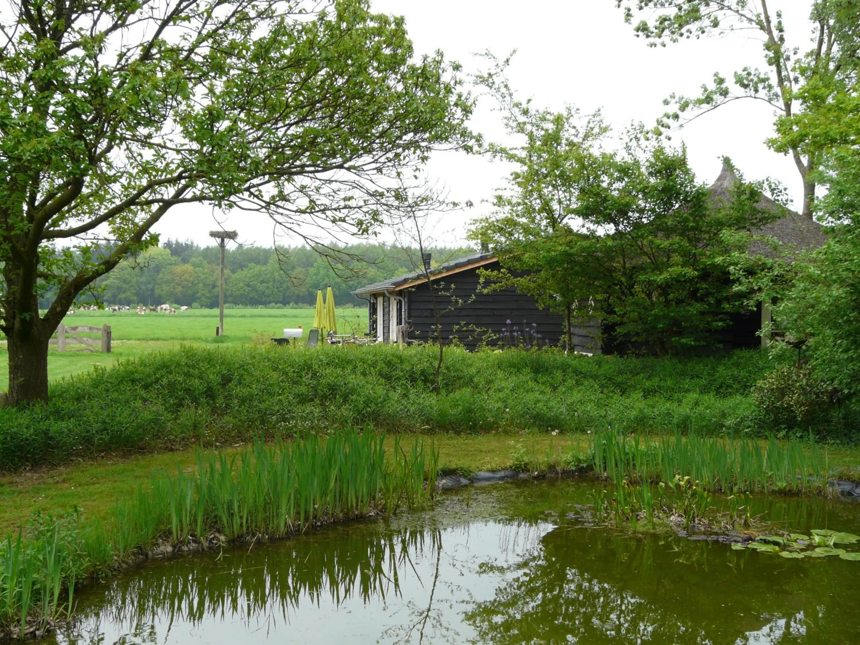 Decorative detail in Erve Dikkeboer
