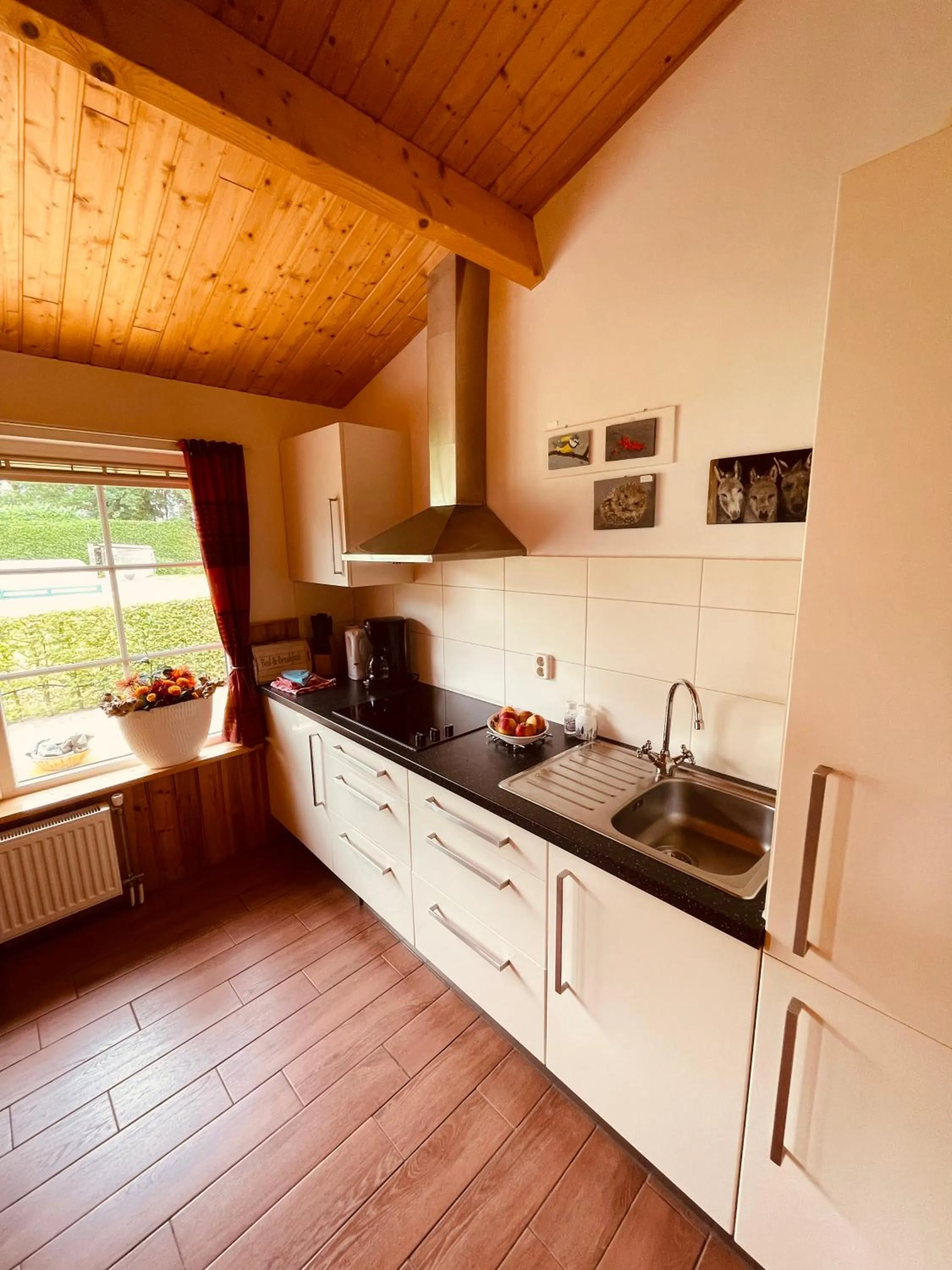 Kitchen or kitchenette in Erve Dikkeboer