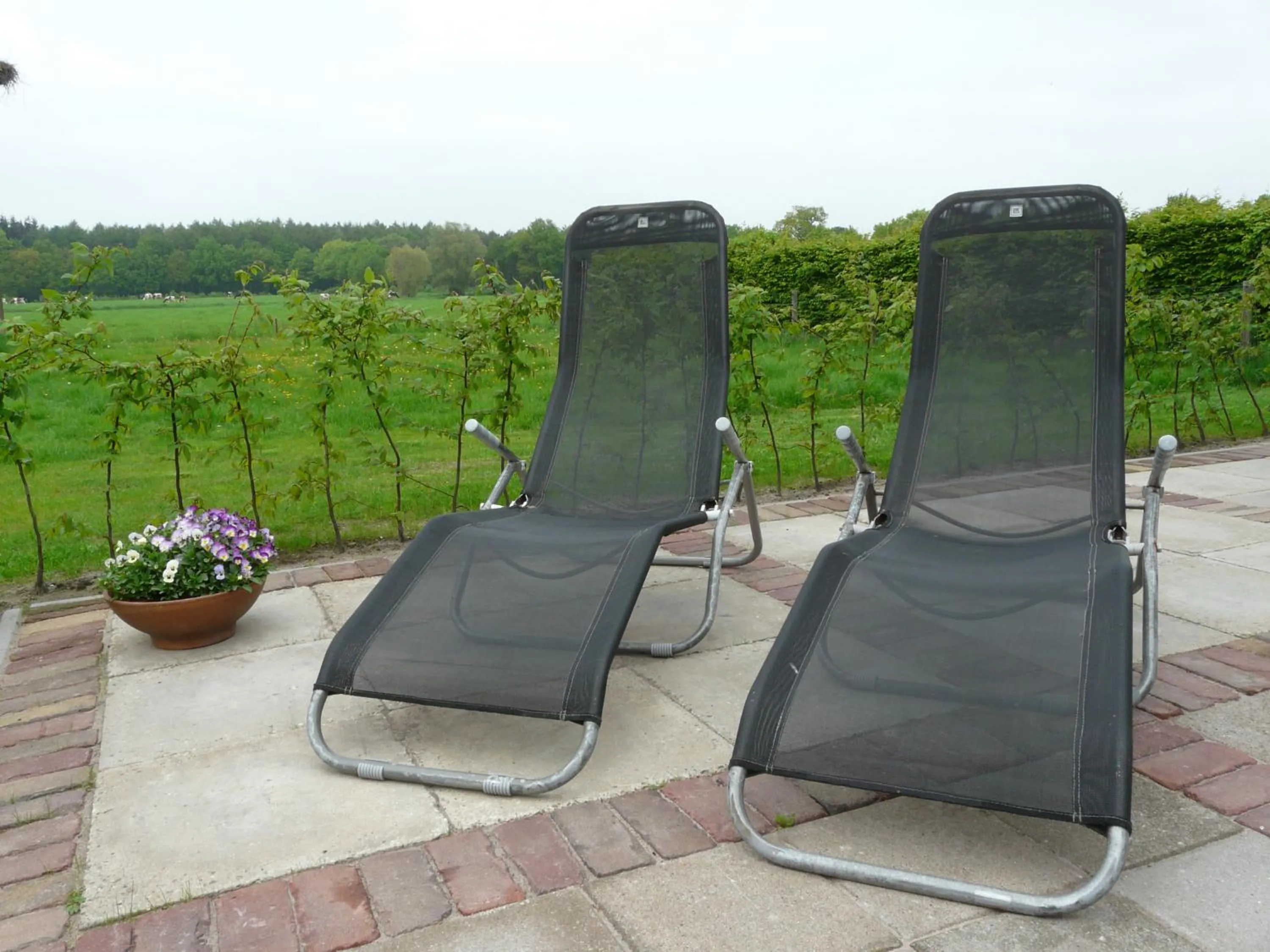 Decorative detail in Erve Dikkeboer