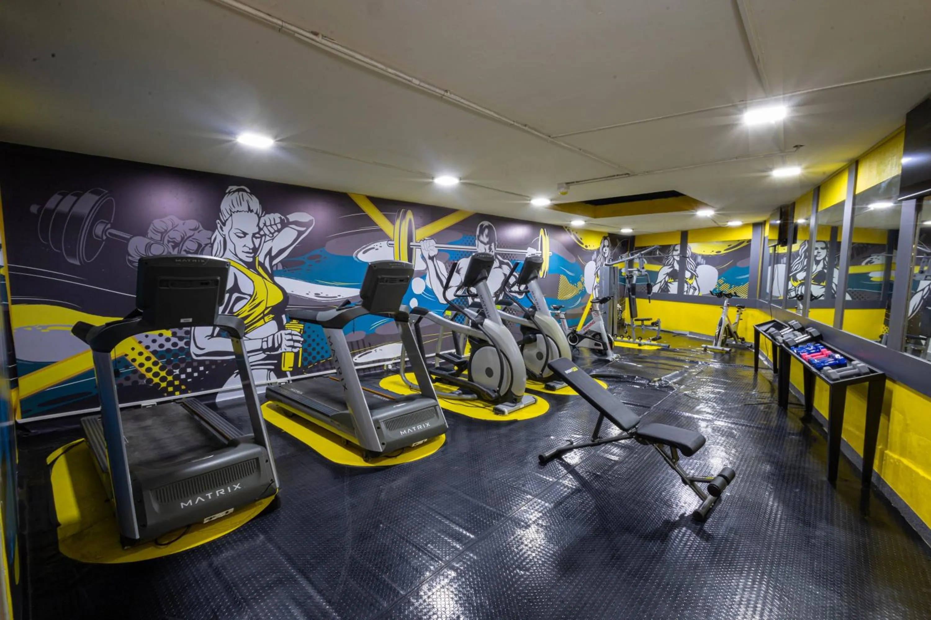Fitness centre/facilities in Palm Ville Suites