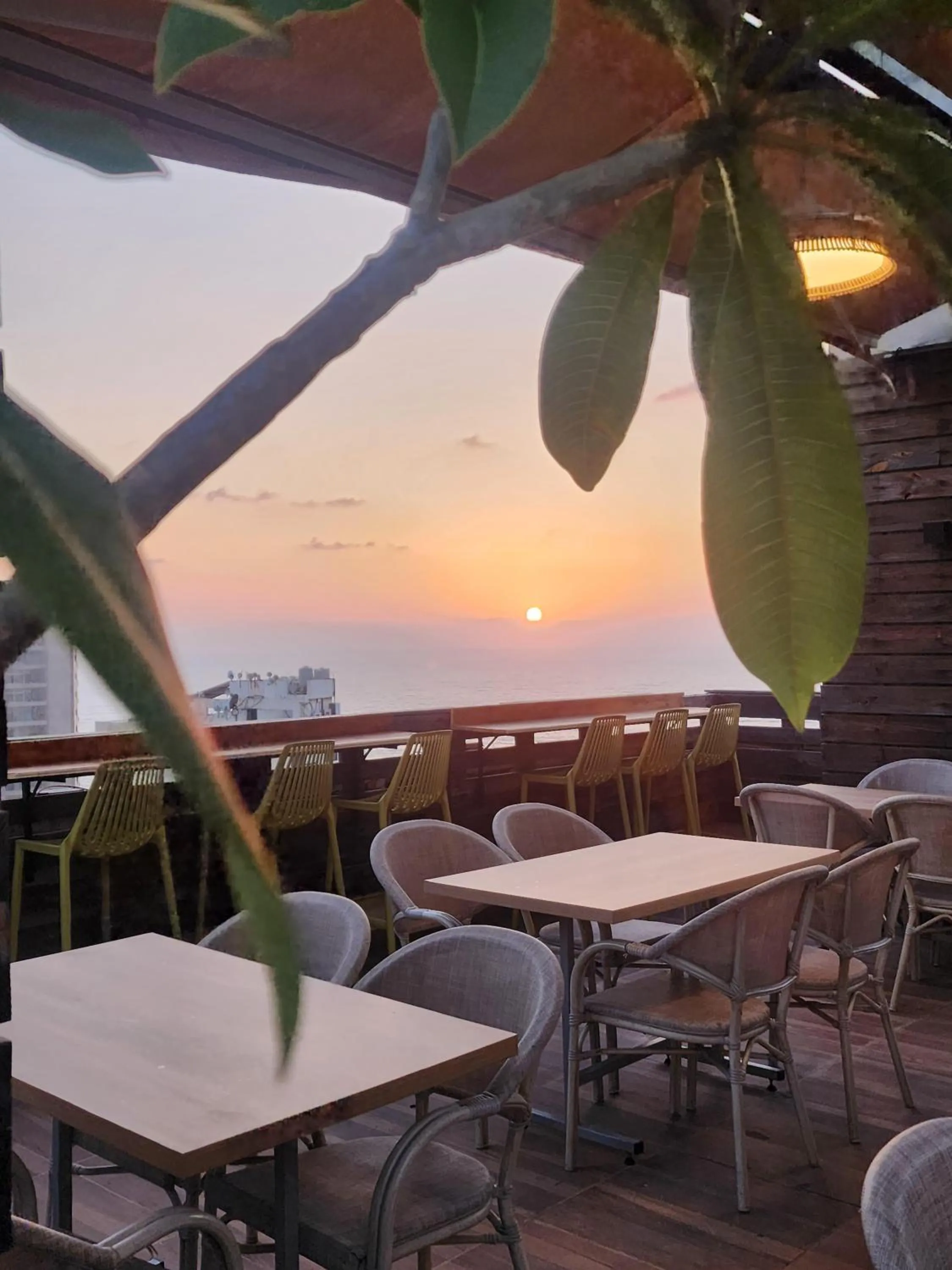 Restaurant/places to eat in Palm Ville Suites