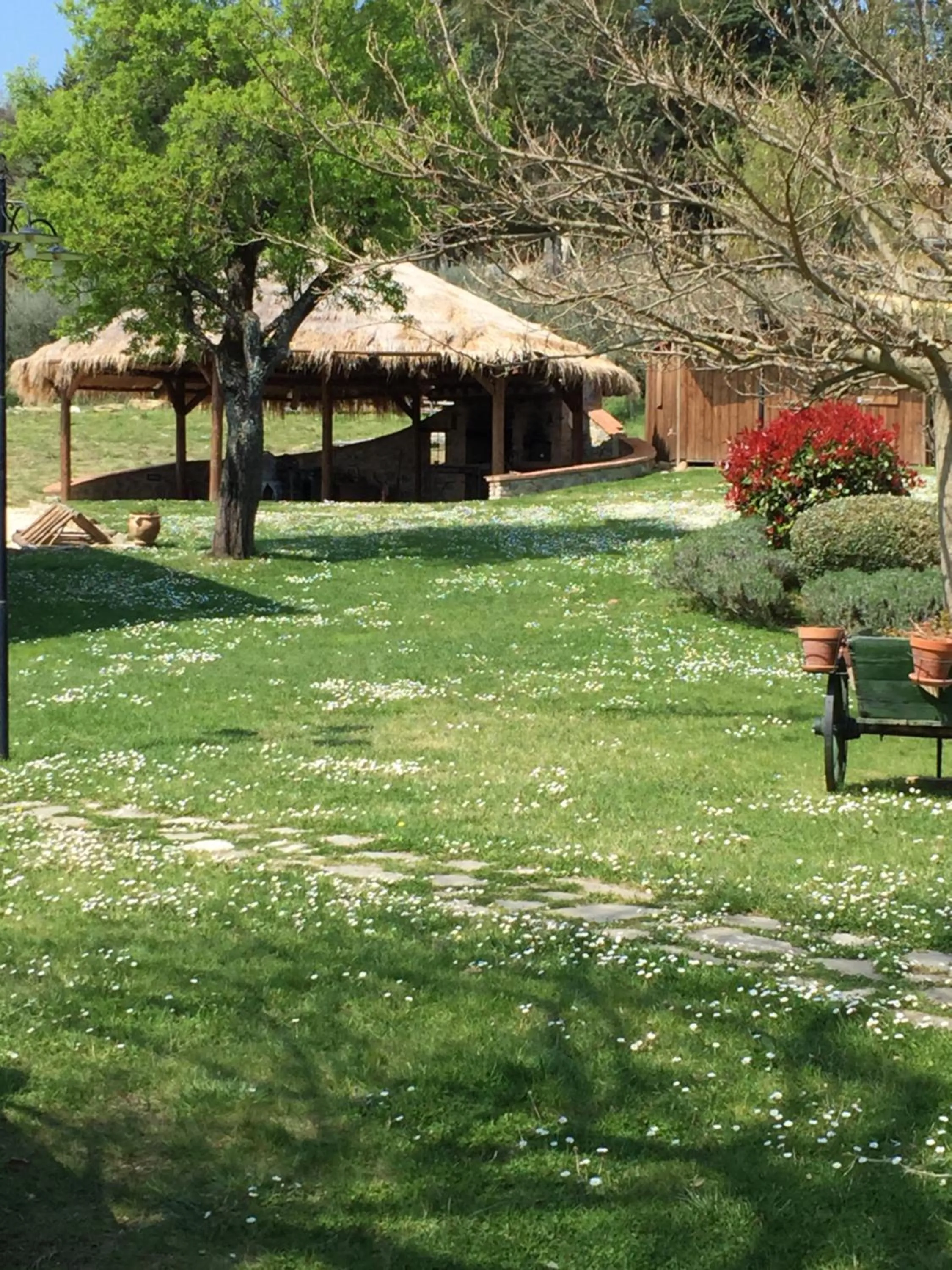 BBQ facilities in Azienda Agrituristica I Tre Casali