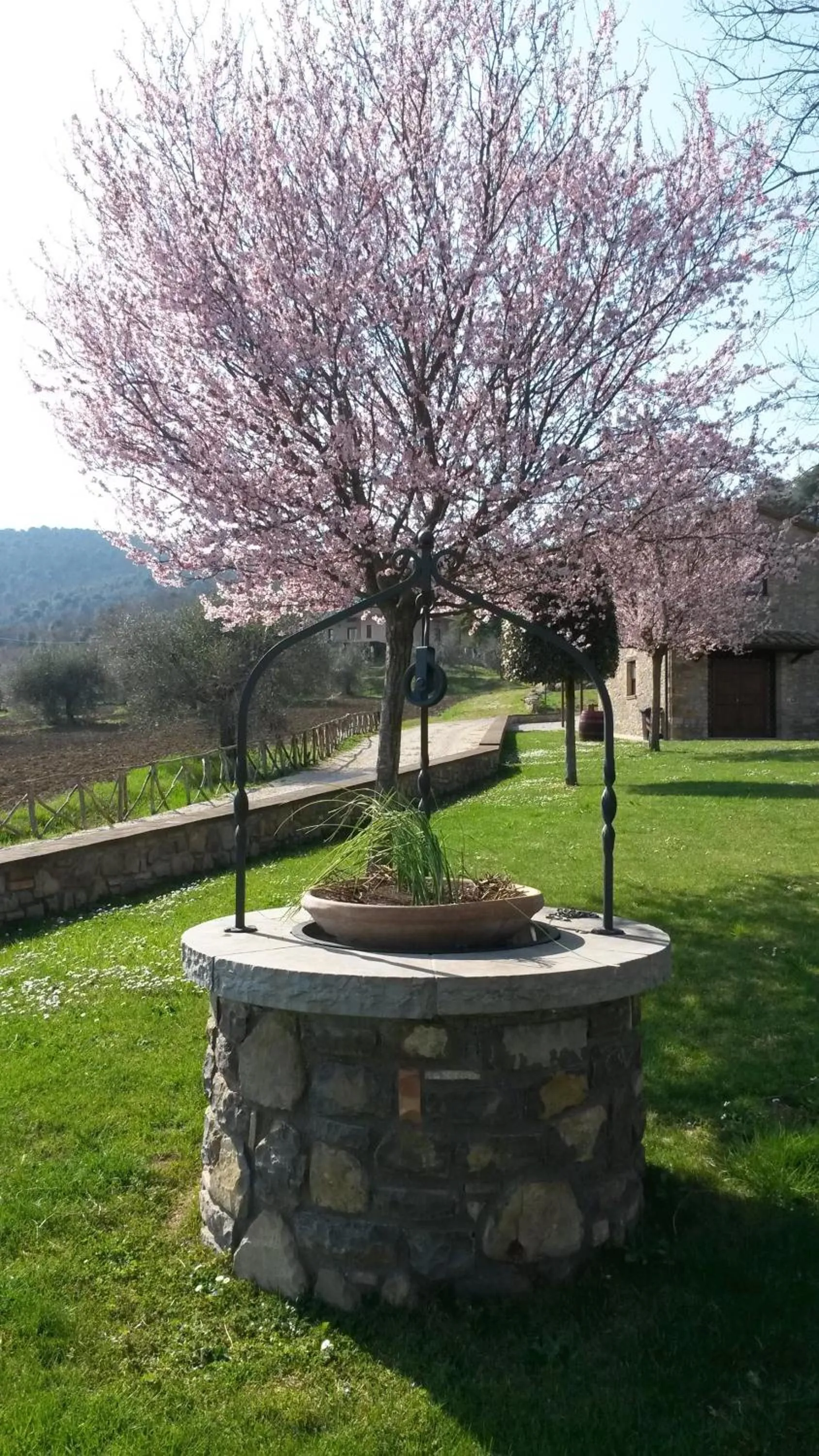 Spring in Azienda Agrituristica I Tre Casali