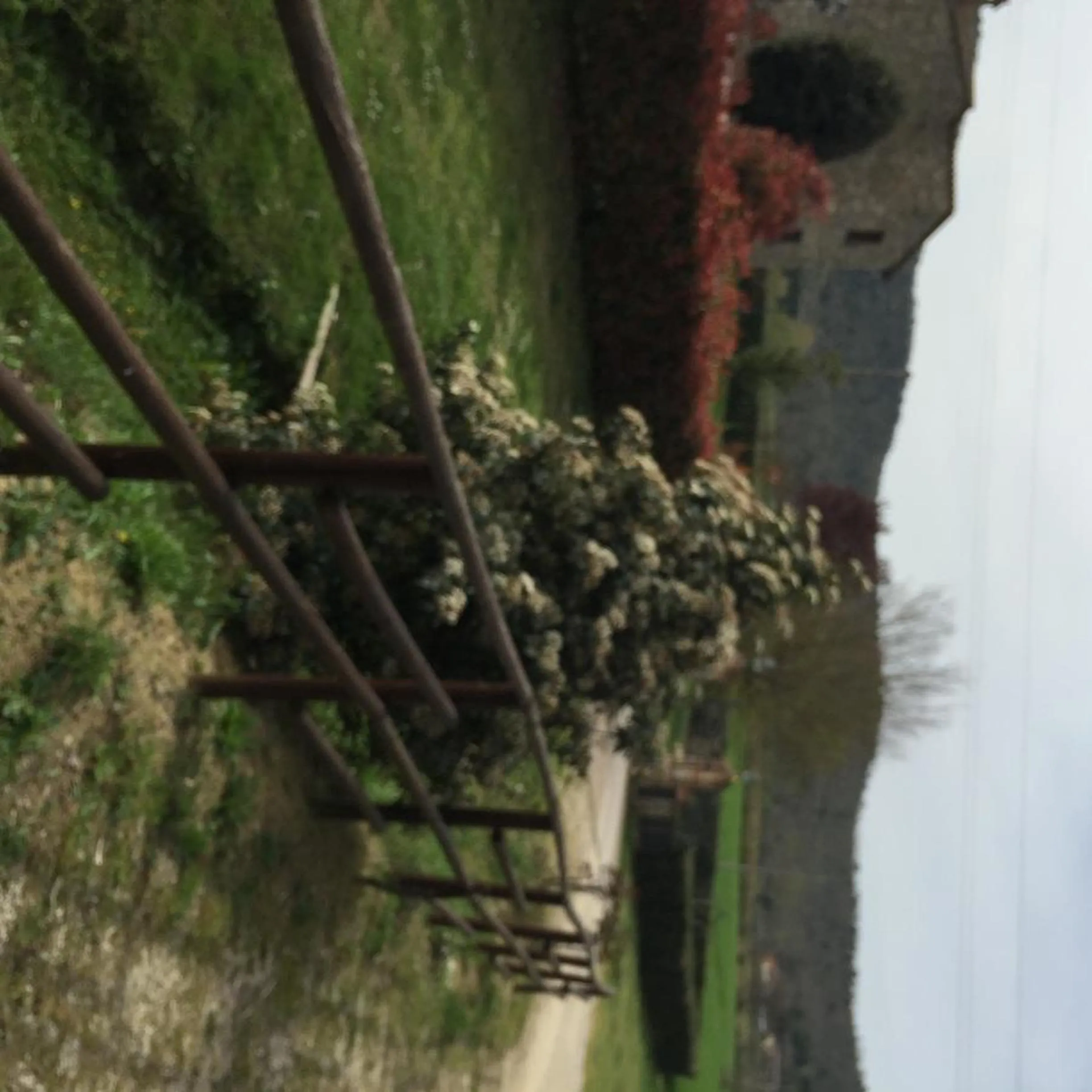 Street view in Azienda Agrituristica I Tre Casali