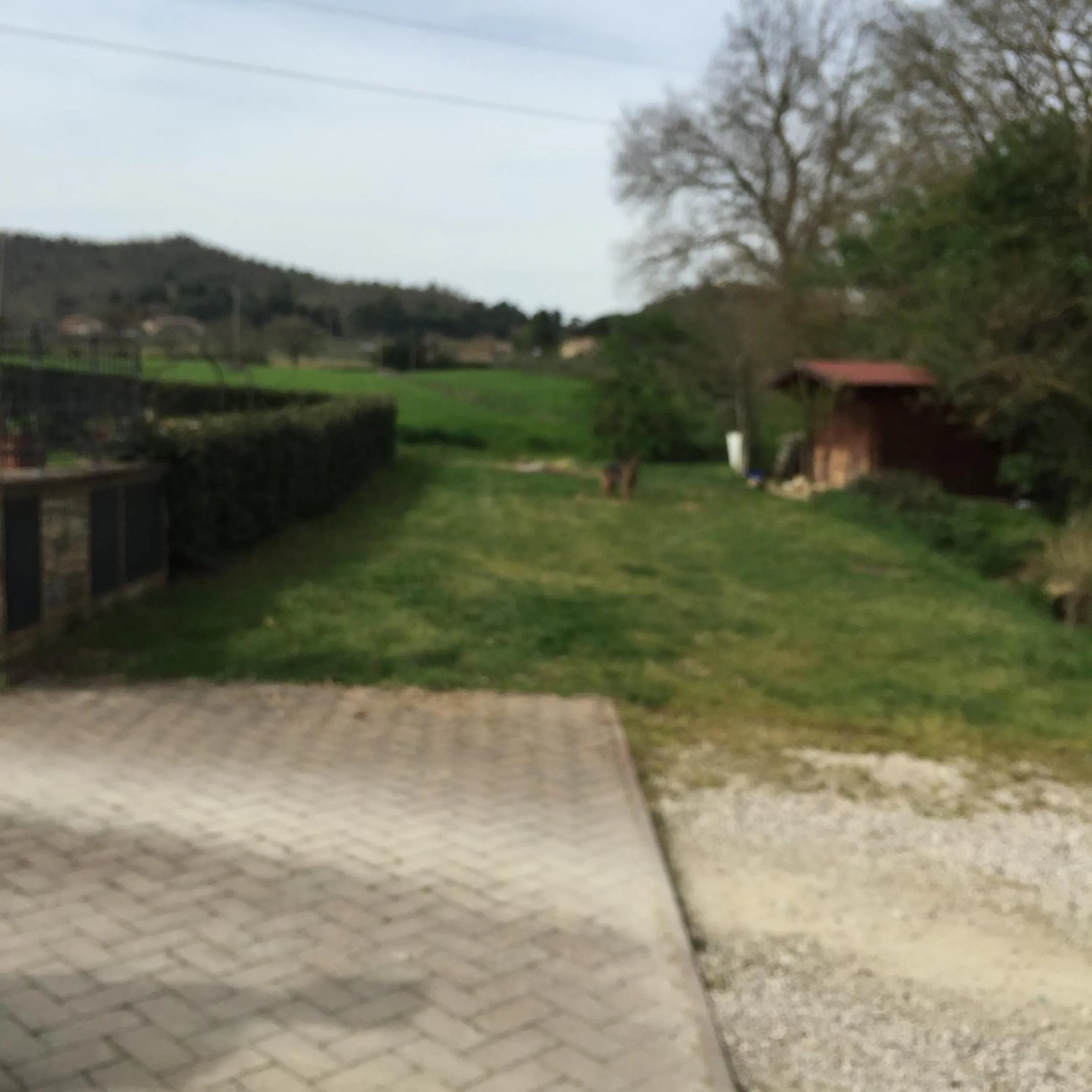 Garden in Azienda Agrituristica I Tre Casali