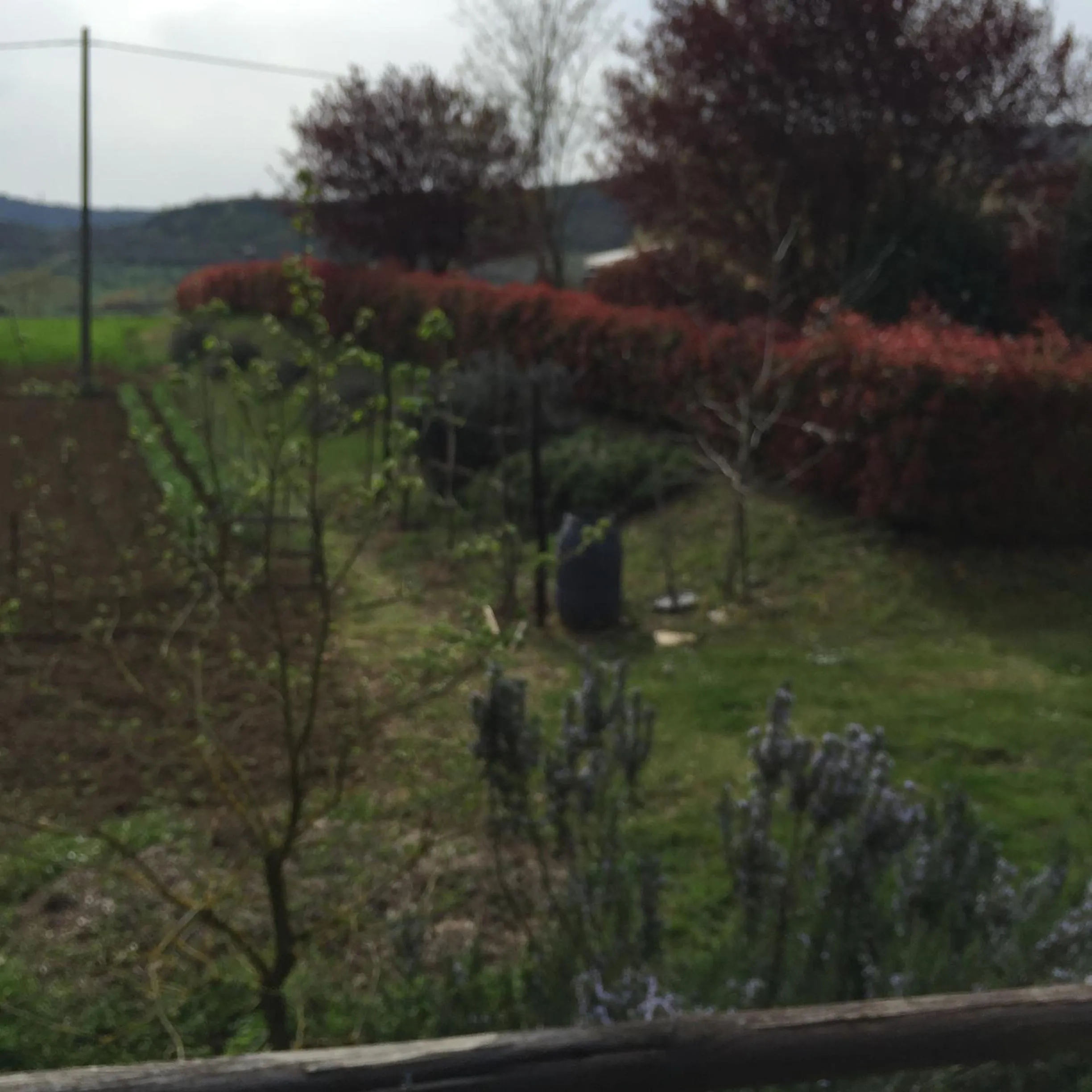 Area and facilities in Azienda Agrituristica I Tre Casali