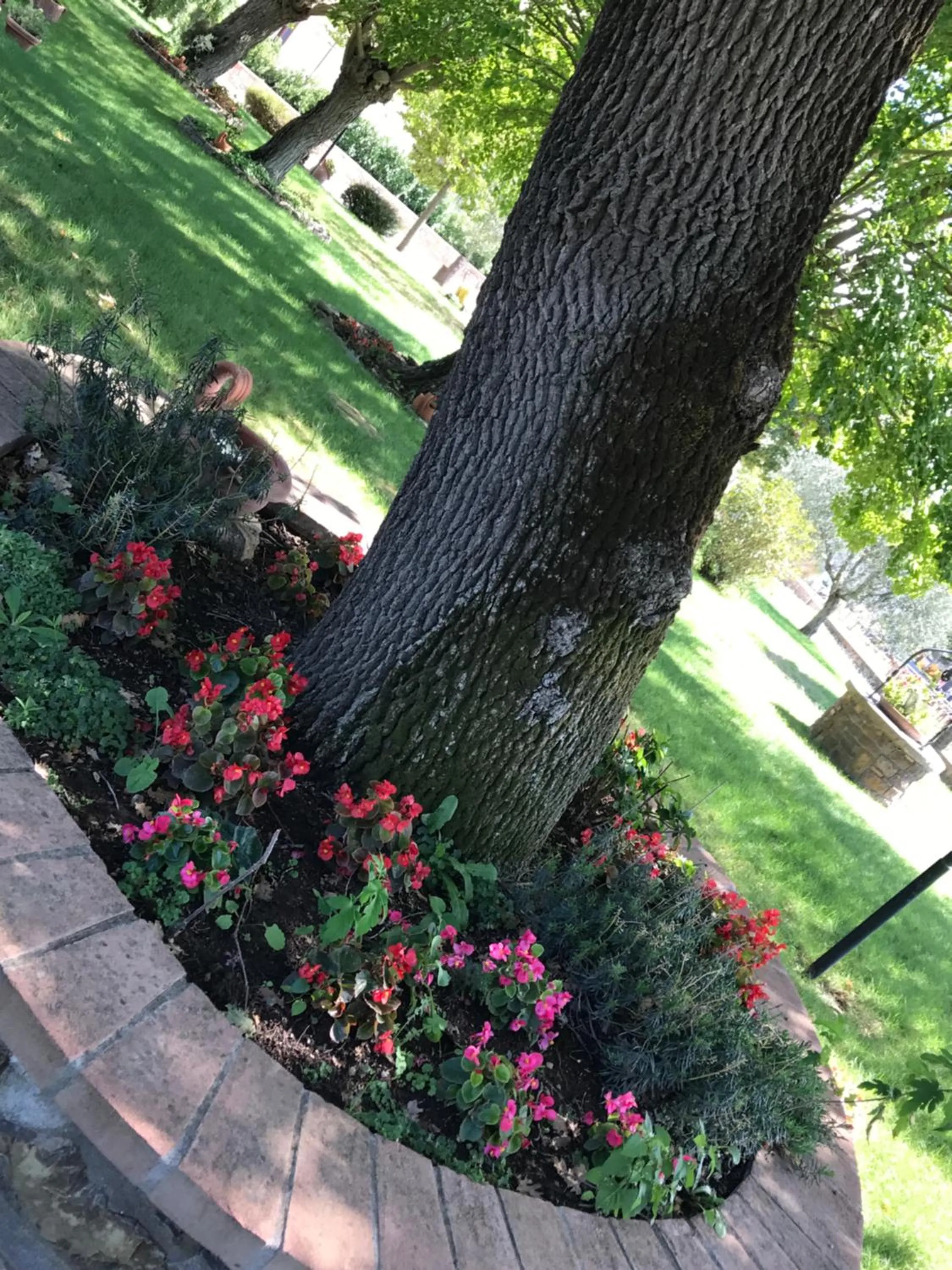 Property building in Azienda Agrituristica I Tre Casali