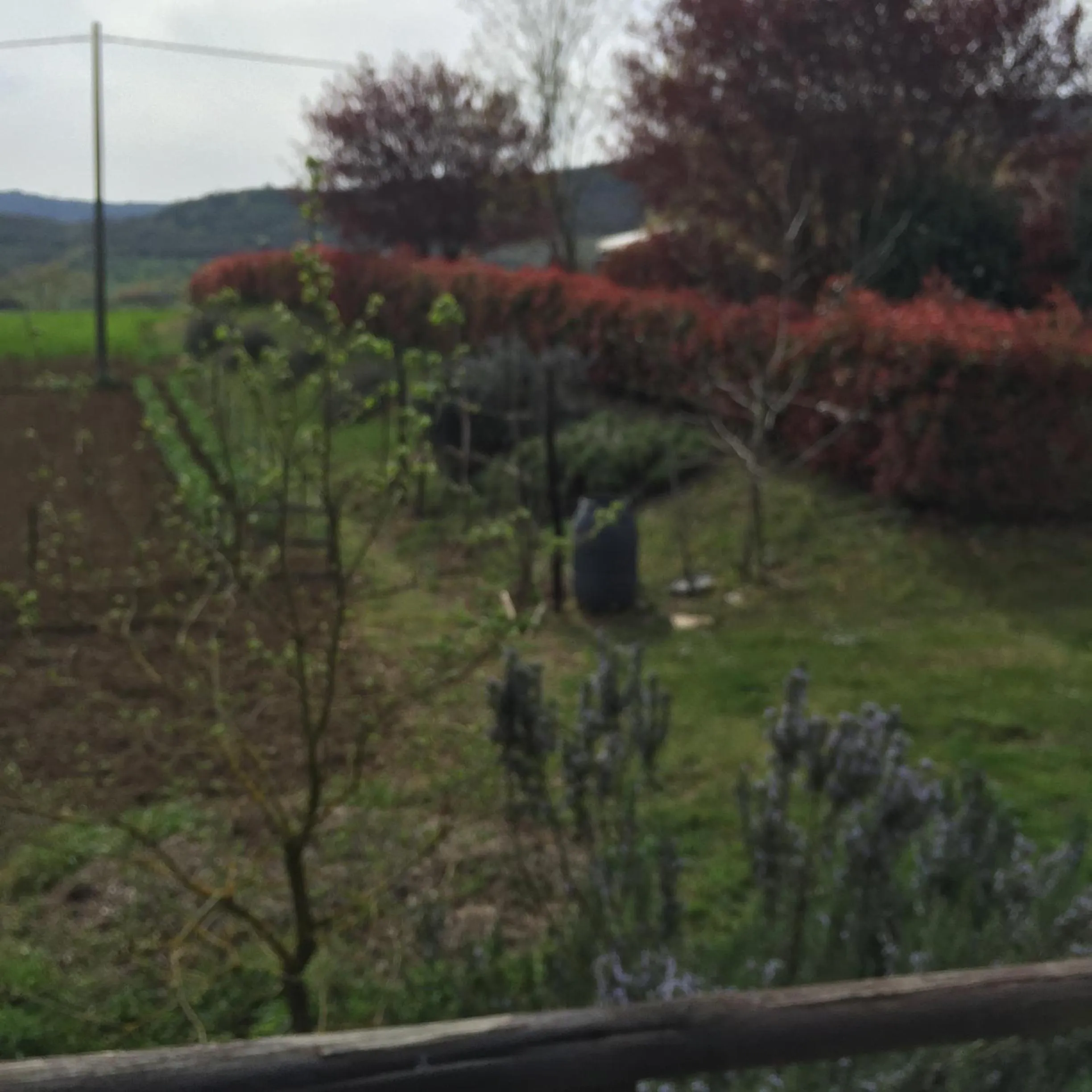 Street view in Azienda Agrituristica I Tre Casali