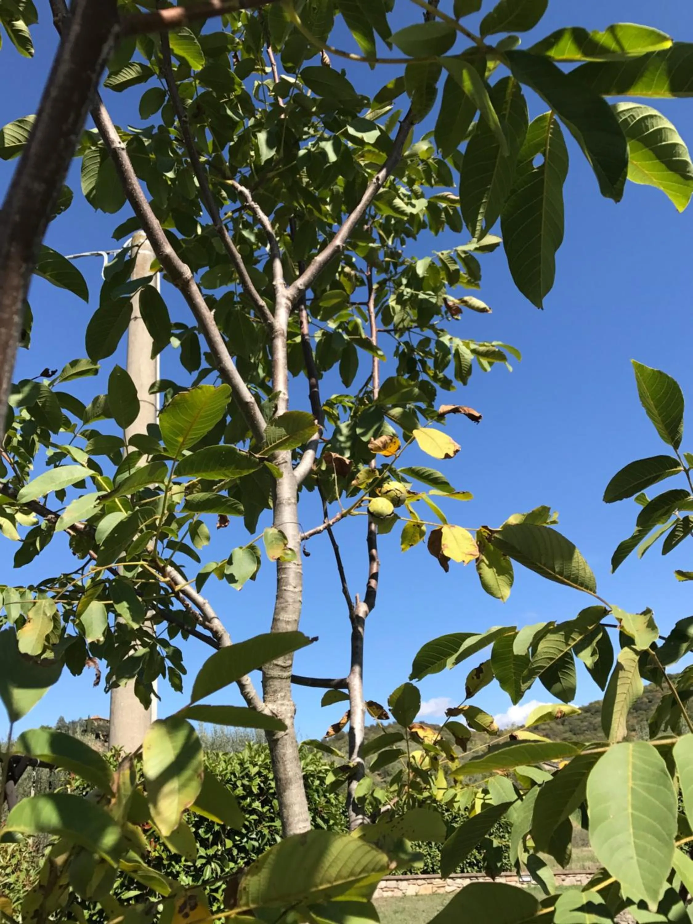 Other in Azienda Agrituristica I Tre Casali