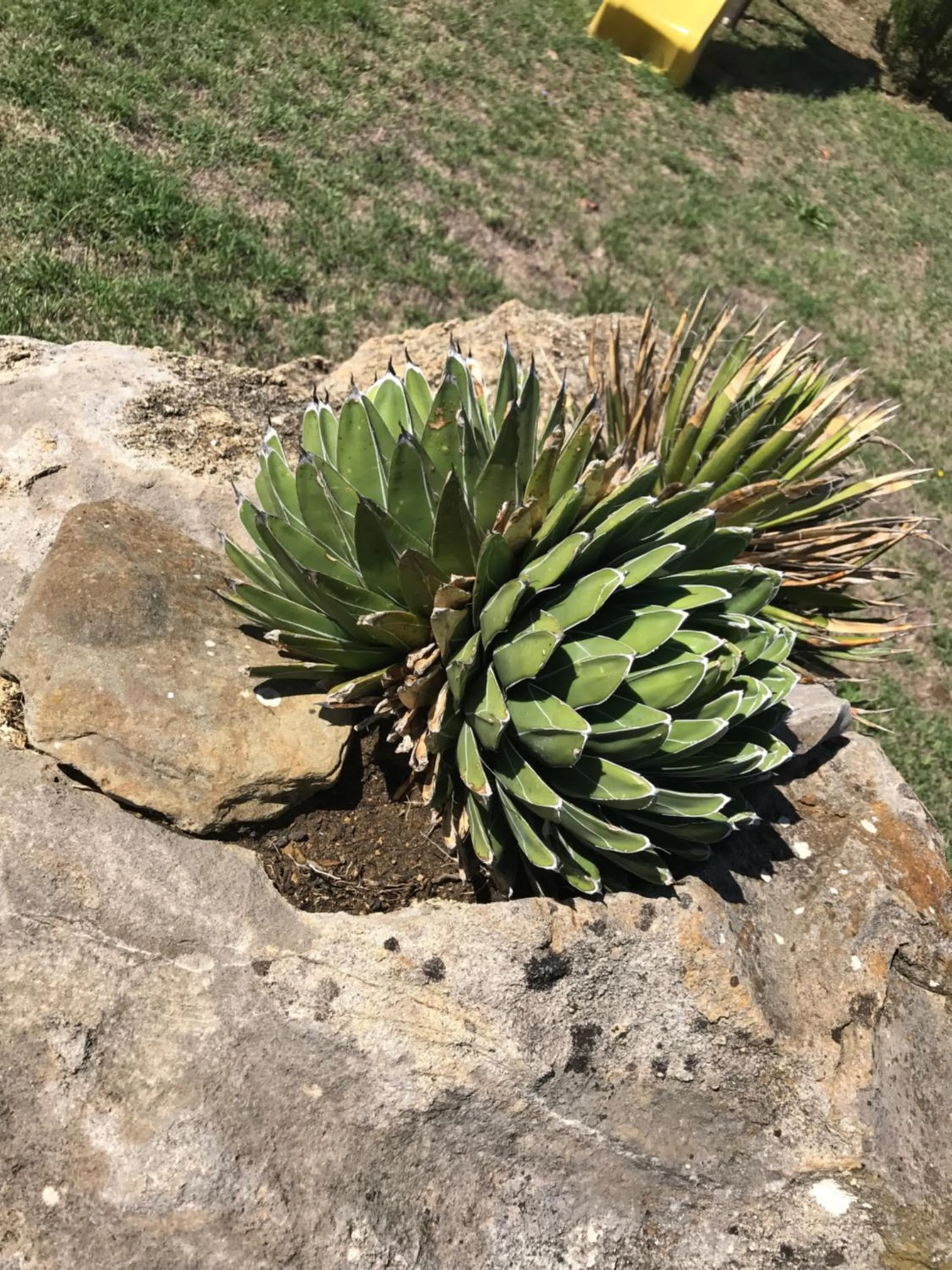 Property building in Azienda Agrituristica I Tre Casali