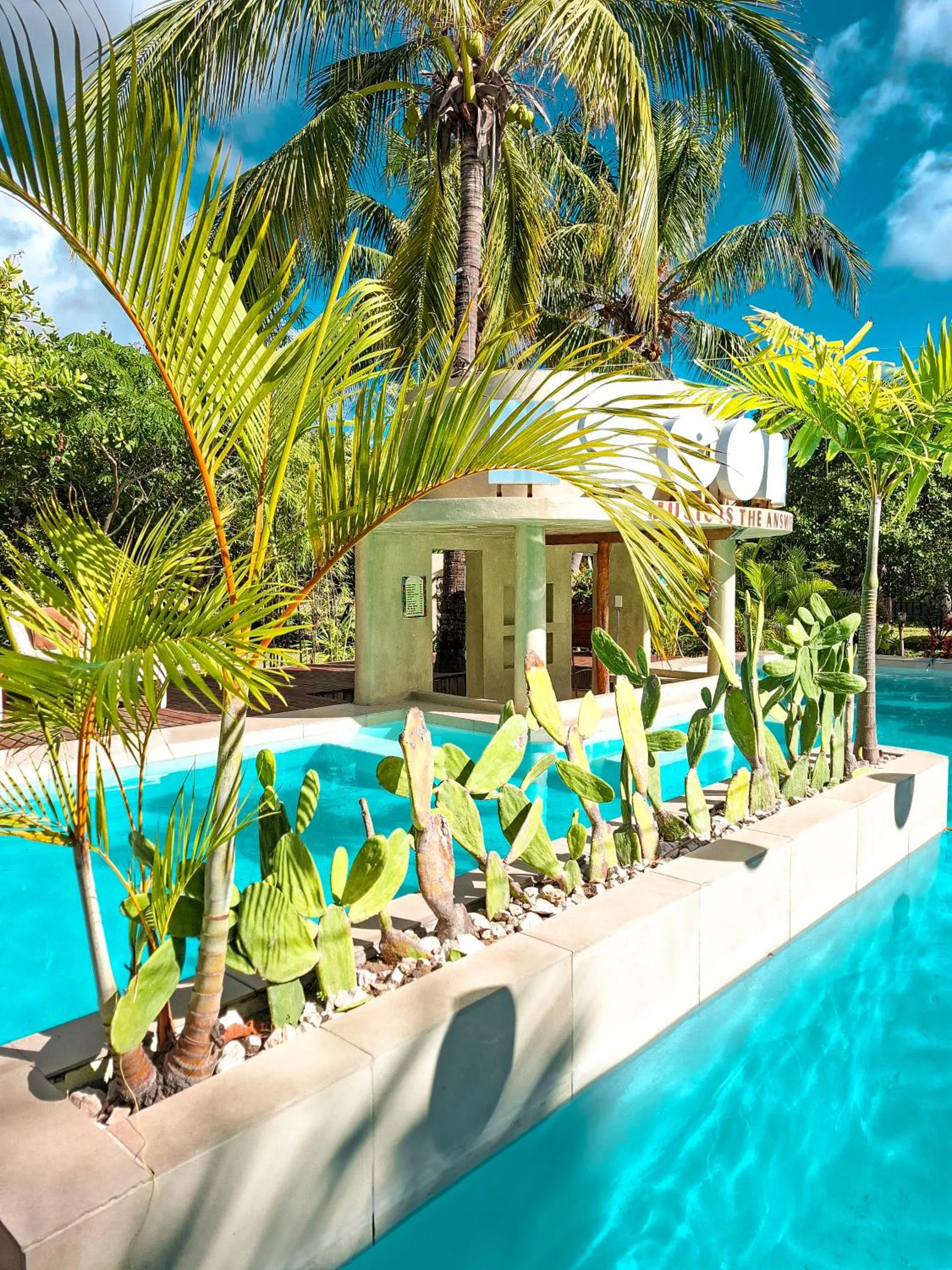 Garden view in Mozambeat Motel