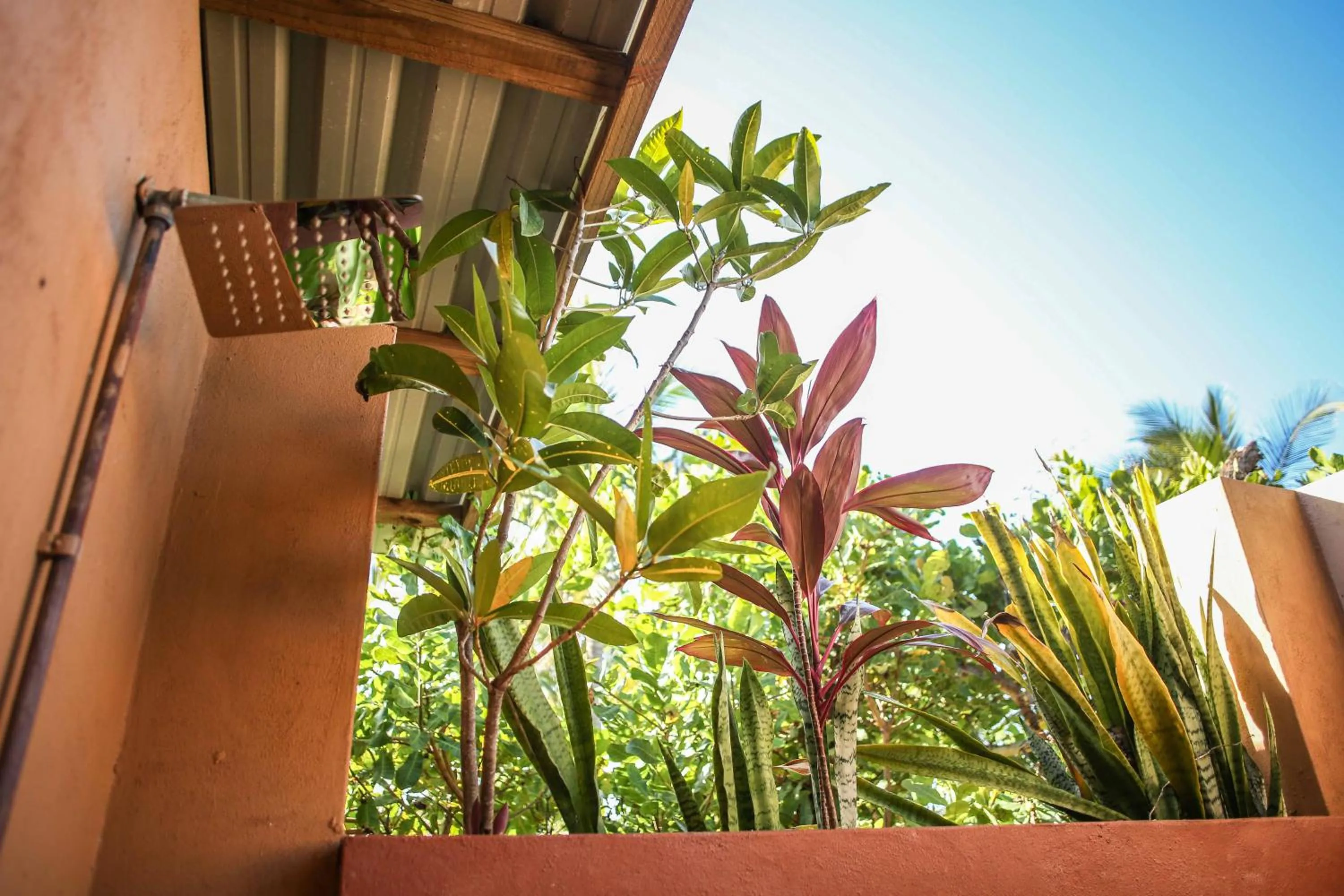 Shower in Mozambeat Motel