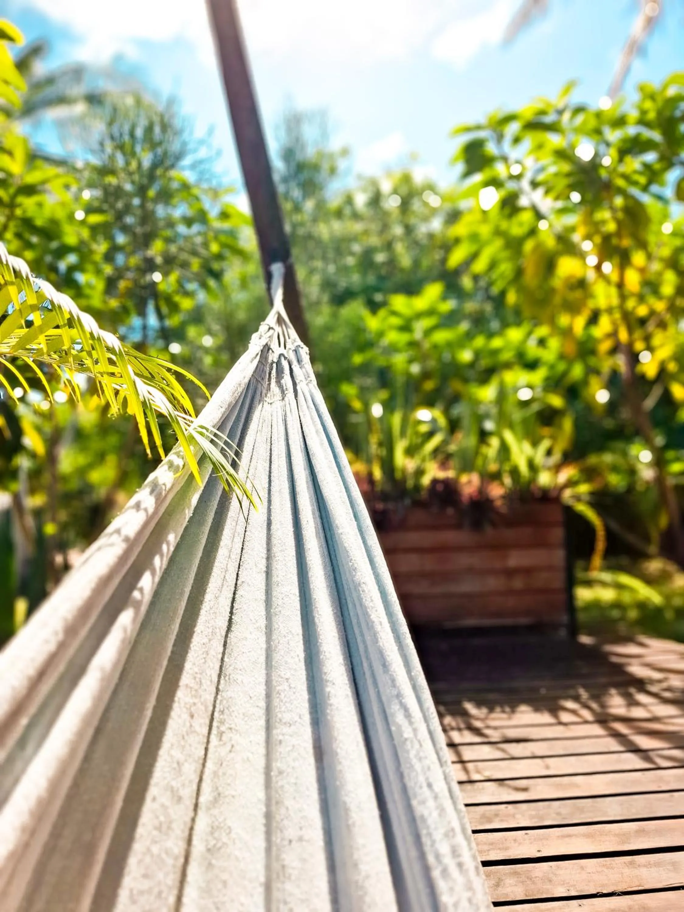 Garden in Mozambeat Motel