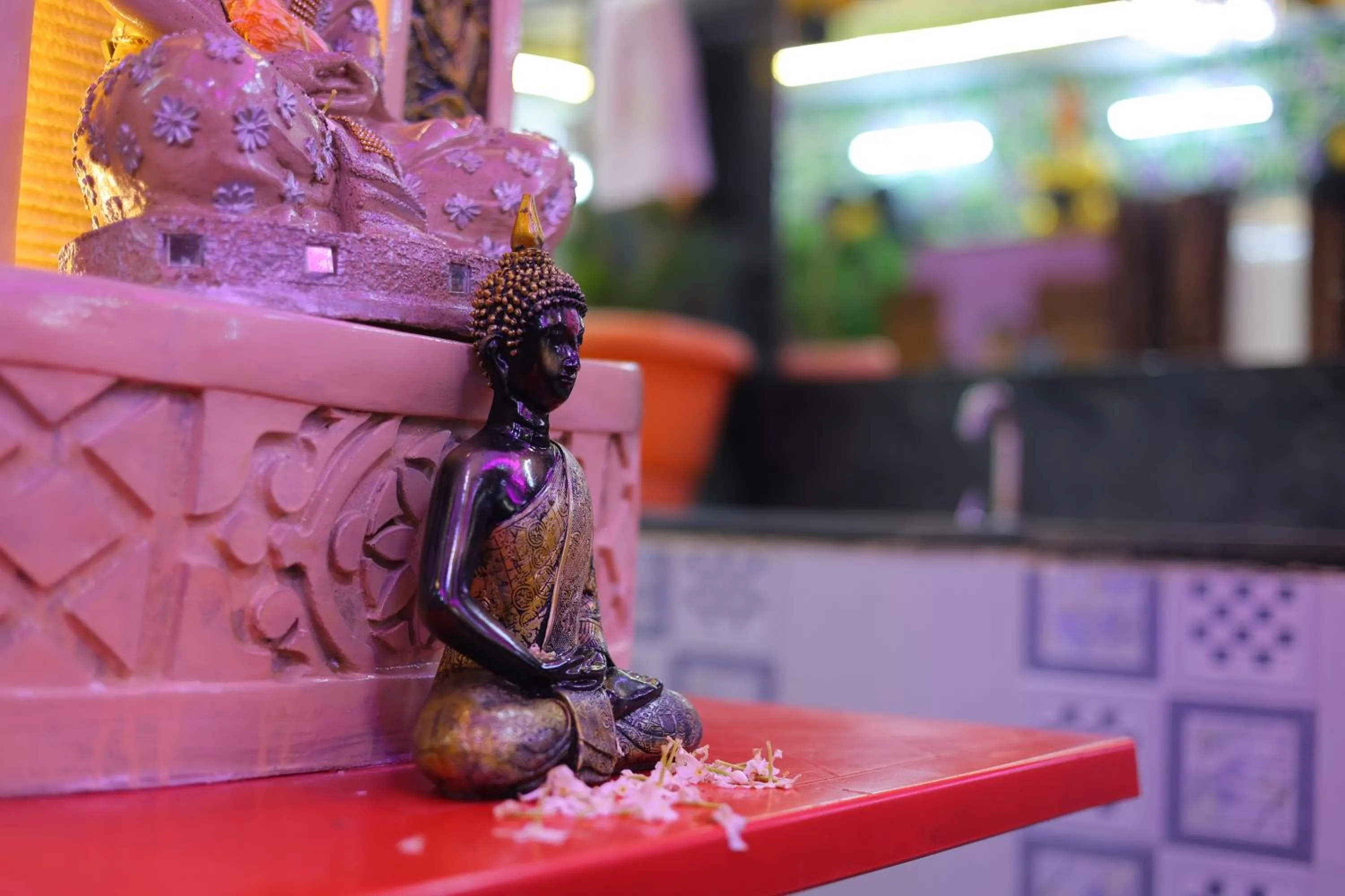 ANAND LOK VATIKA