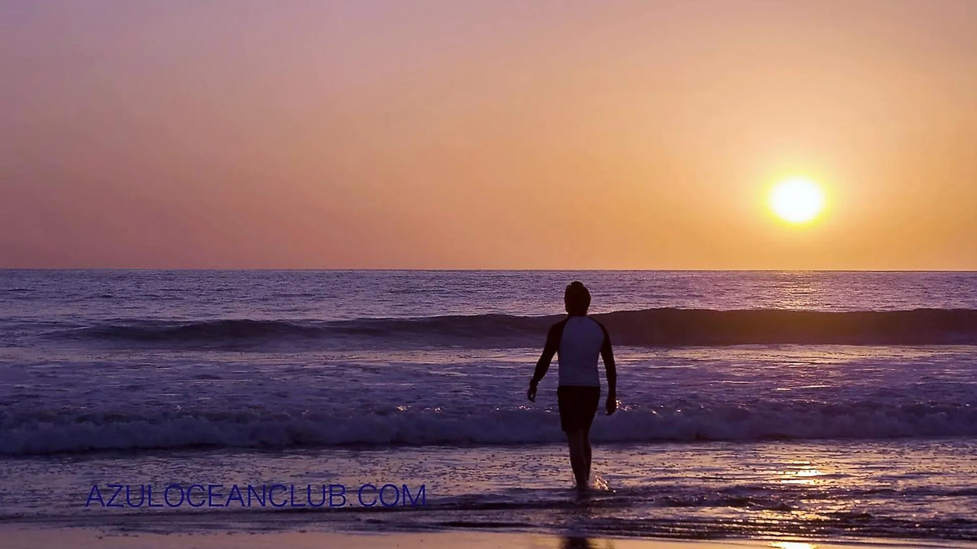 Beach in Azul Hotel & Retreat