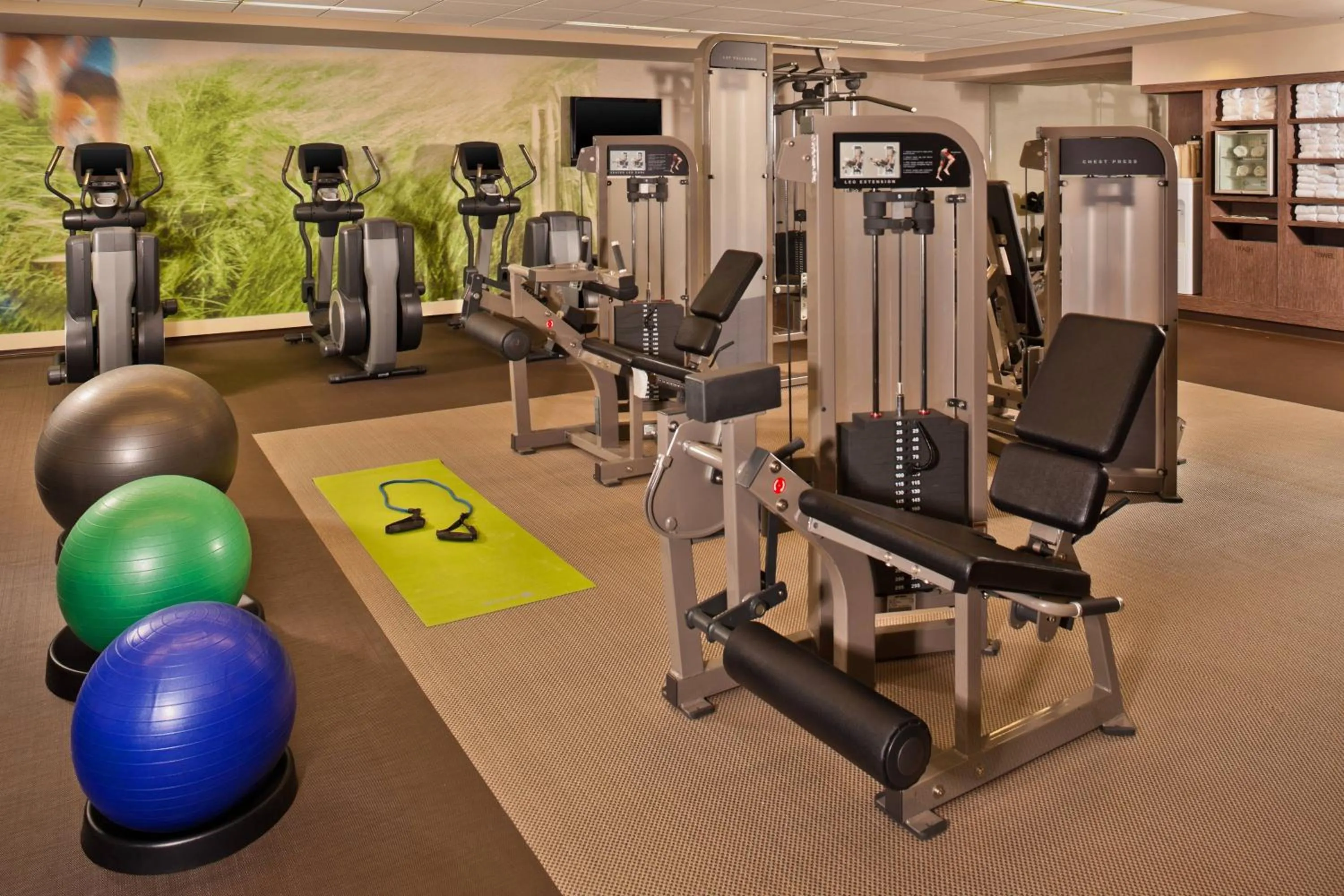 Fitness centre/facilities in The Westin Book Cadillac Detroit