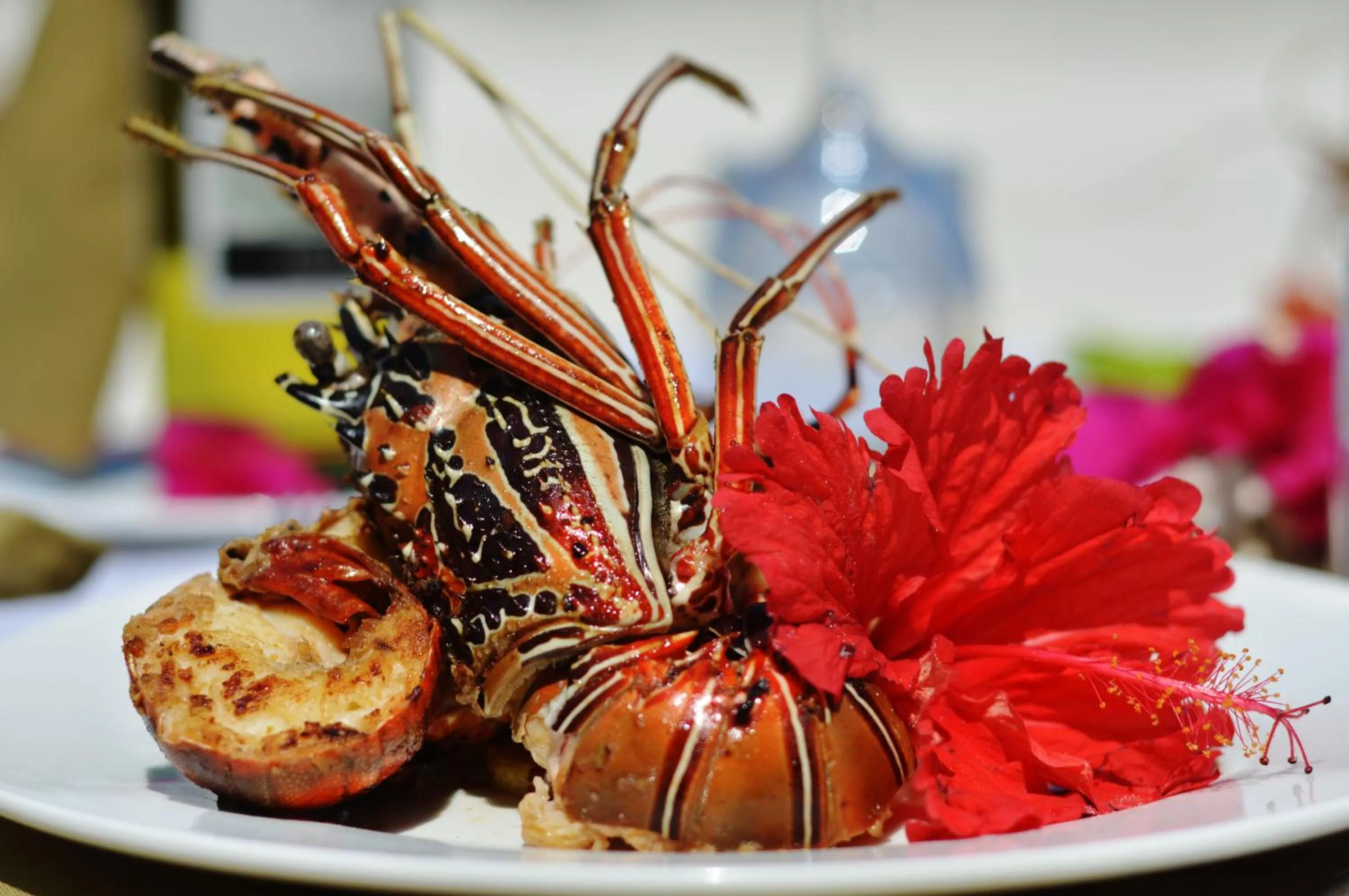 Food and drinks in Karibu Beach Resort