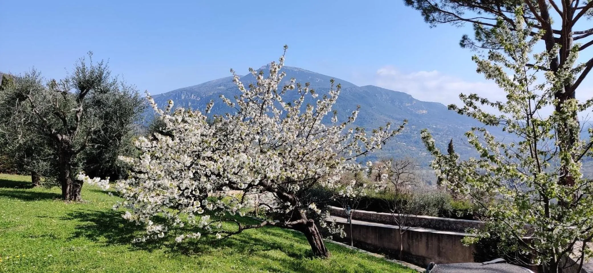 Spring in Loup Castel Boutique Hotel B&B