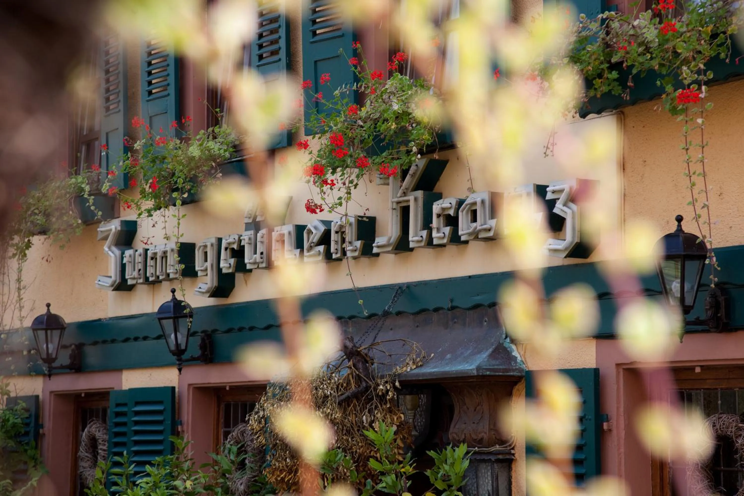 Facade/entrance in Weinhotel des Riesling Zum Grünen Kranz