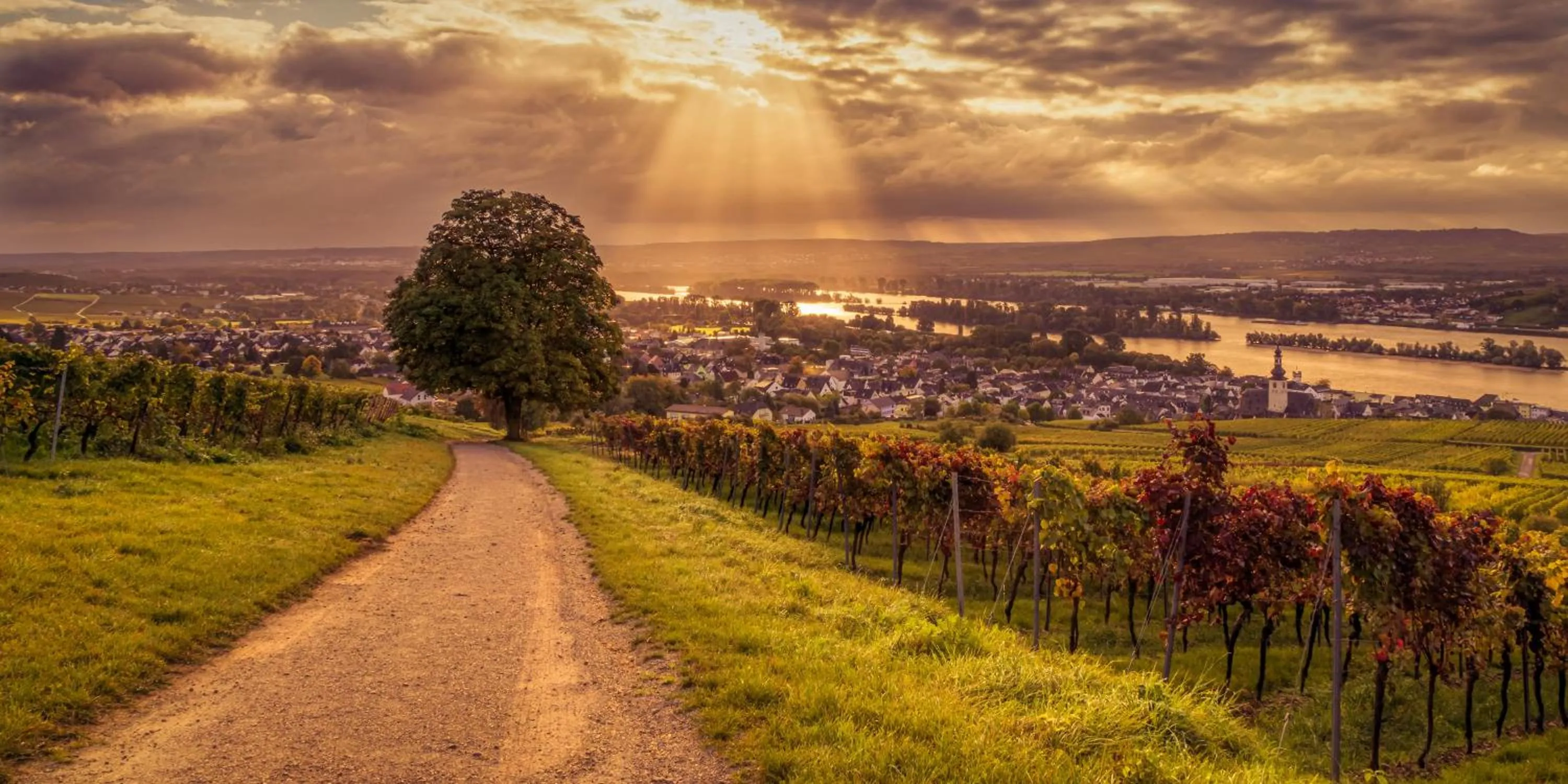 Nearby landmark in Weinhotel des Riesling Zum Grünen Kranz