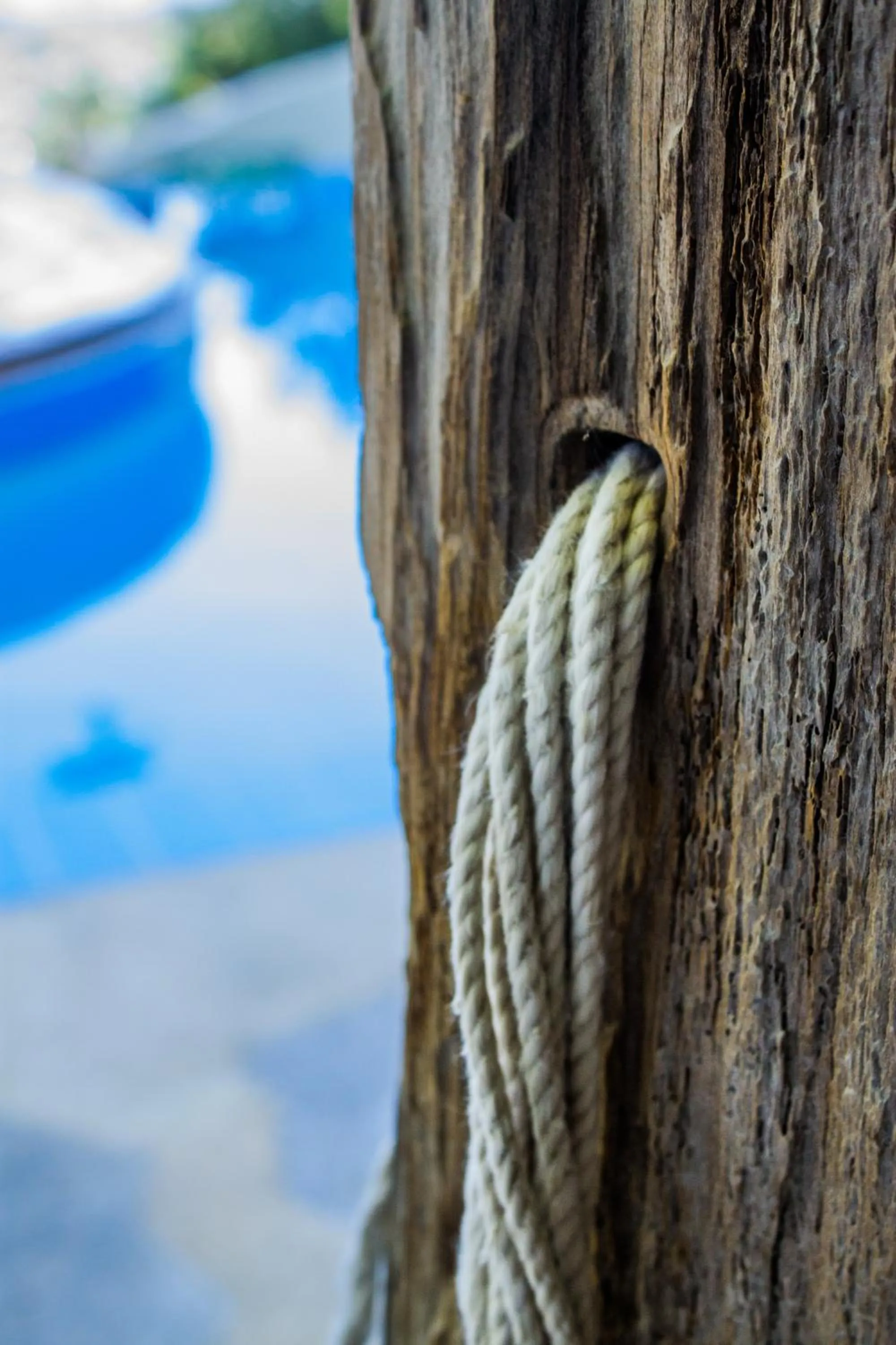 Swimming pool in Malaxiana Houses