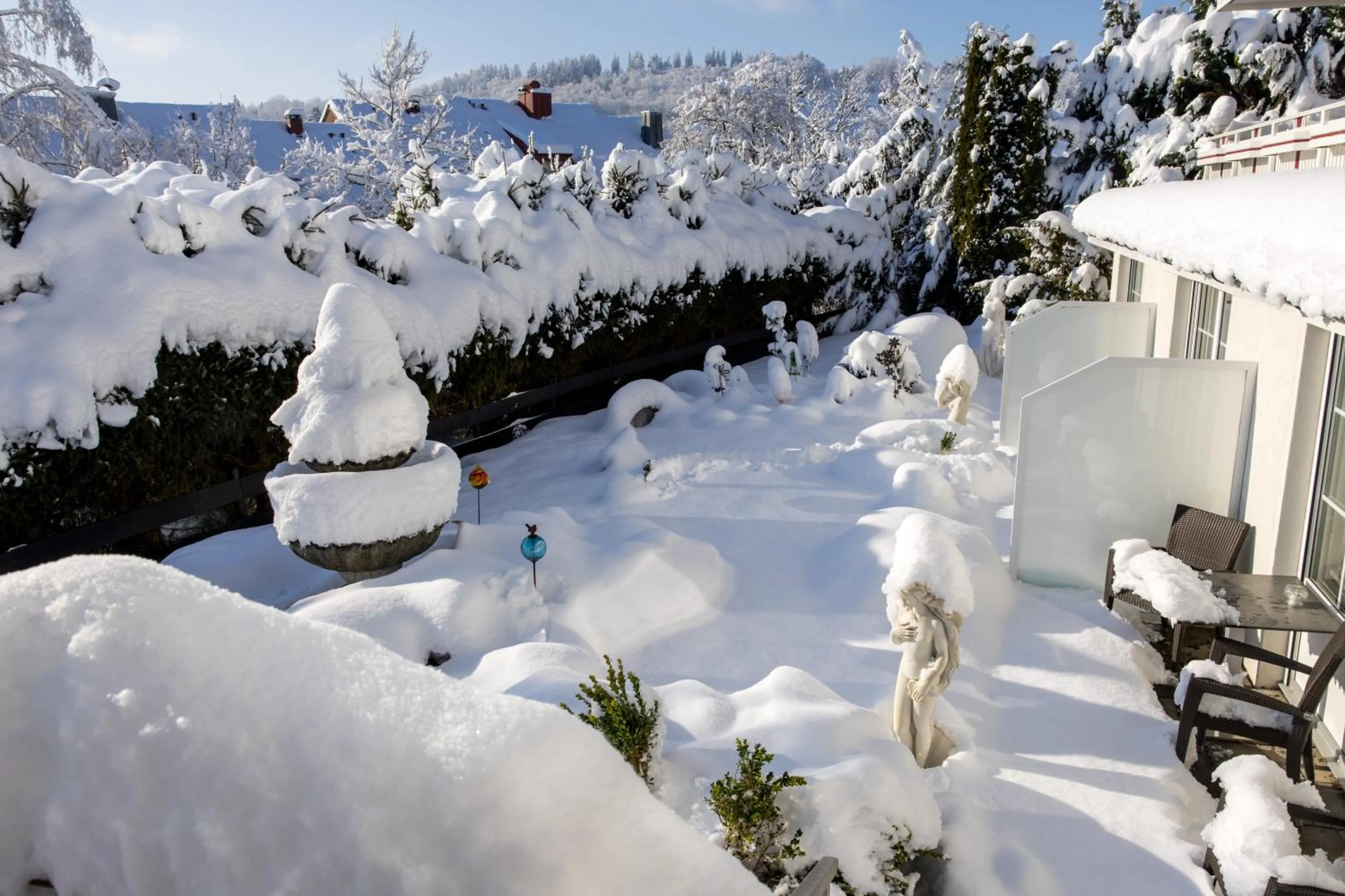 Garden in Hotel Sonnenhang