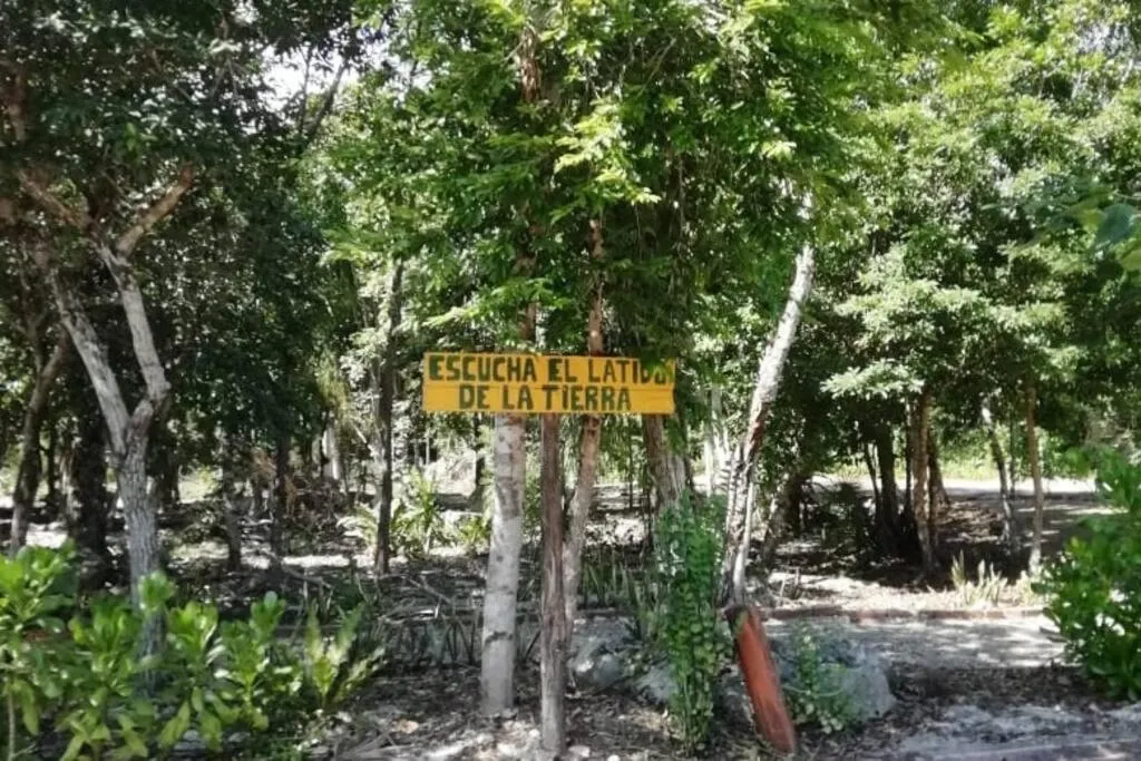 Agua & Selva luxury Jungle loft