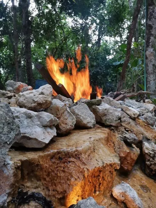 Agua & Selva luxury Jungle loft