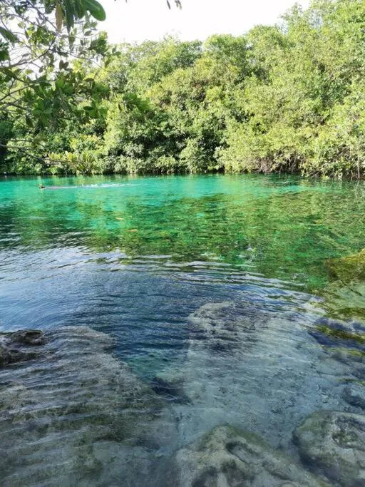 Agua & Selva luxury Jungle loft