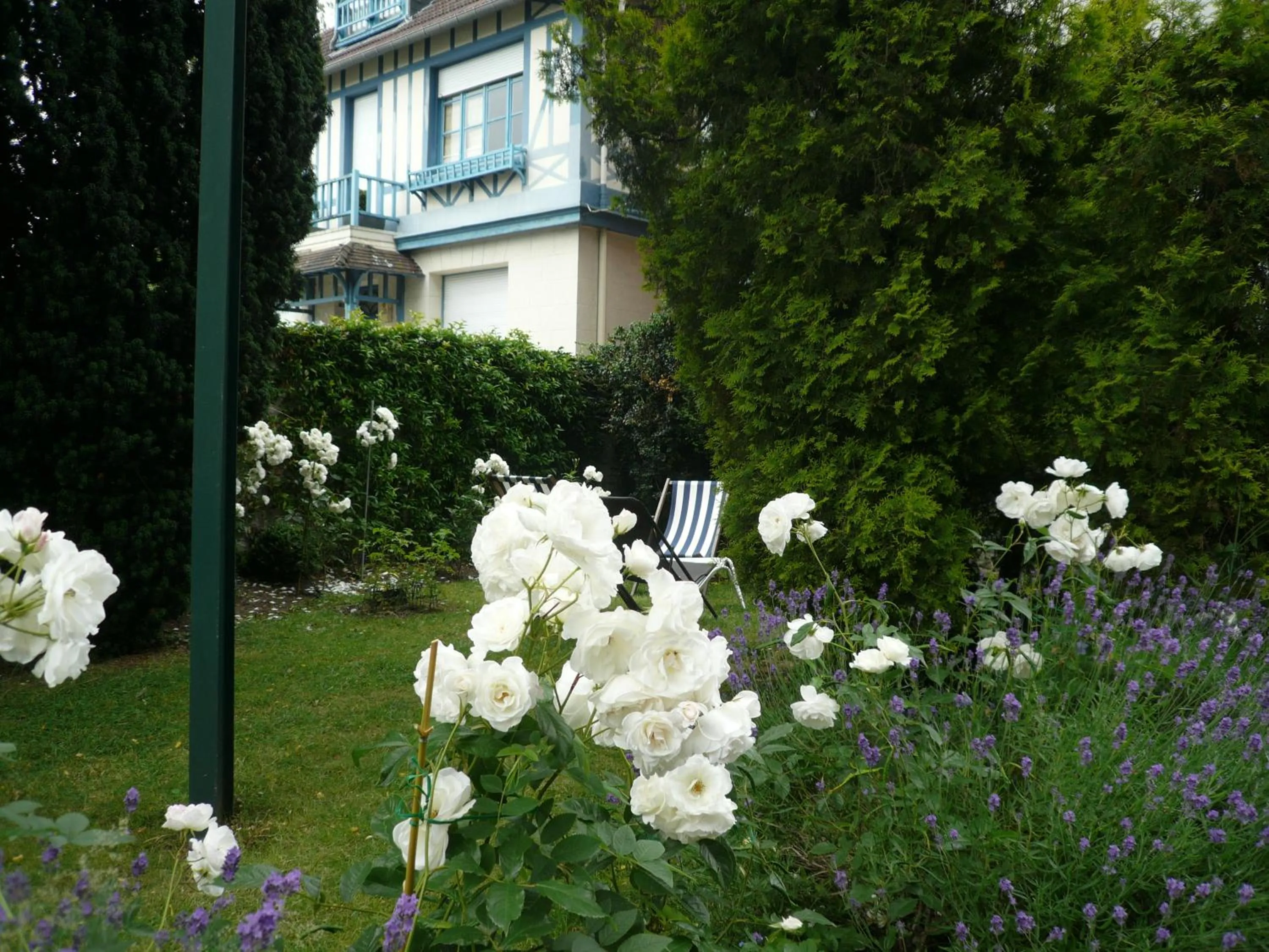 Garden in Hotel Du Croisé