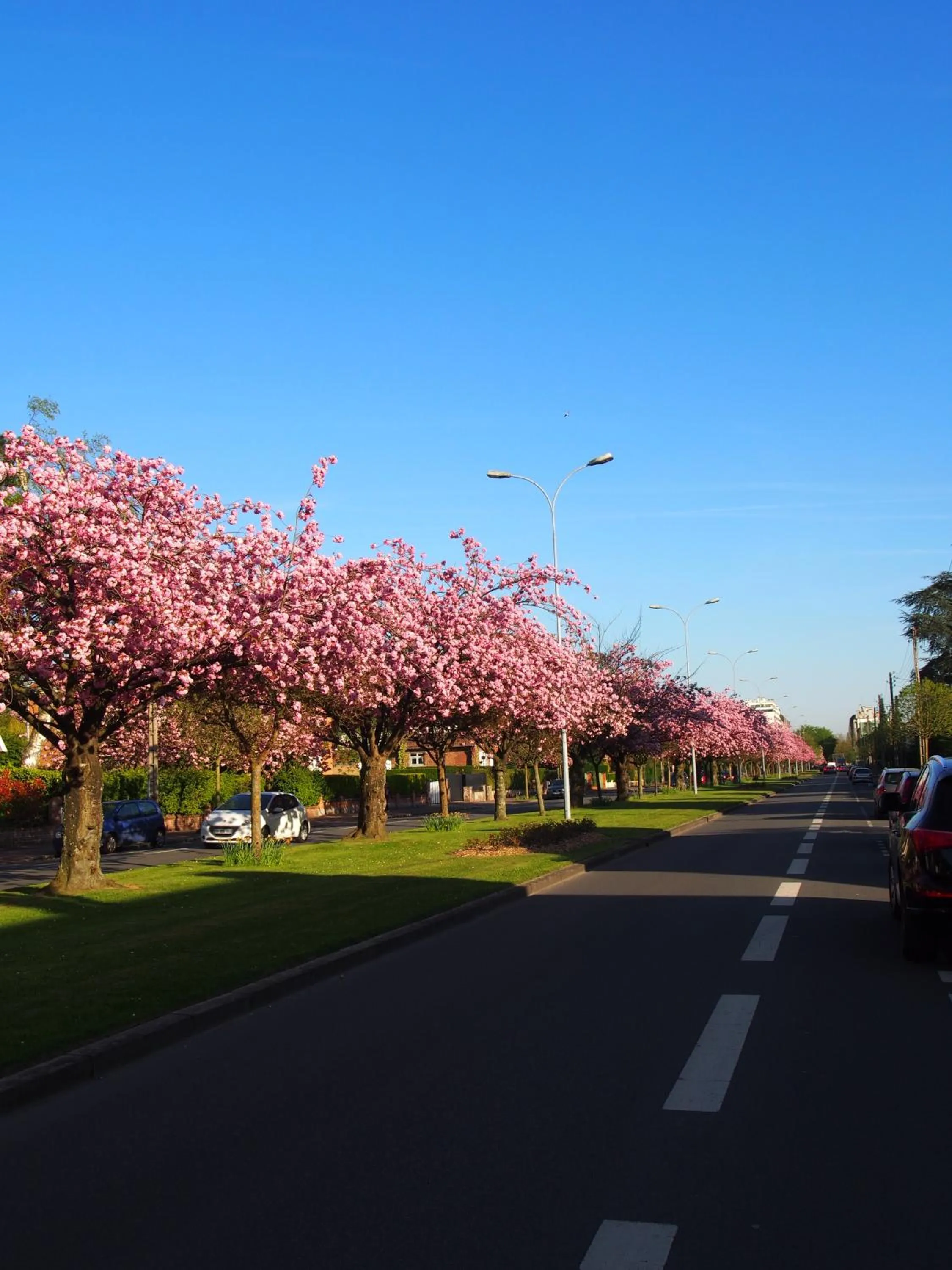 Neighbourhood in Hotel Du Croisé