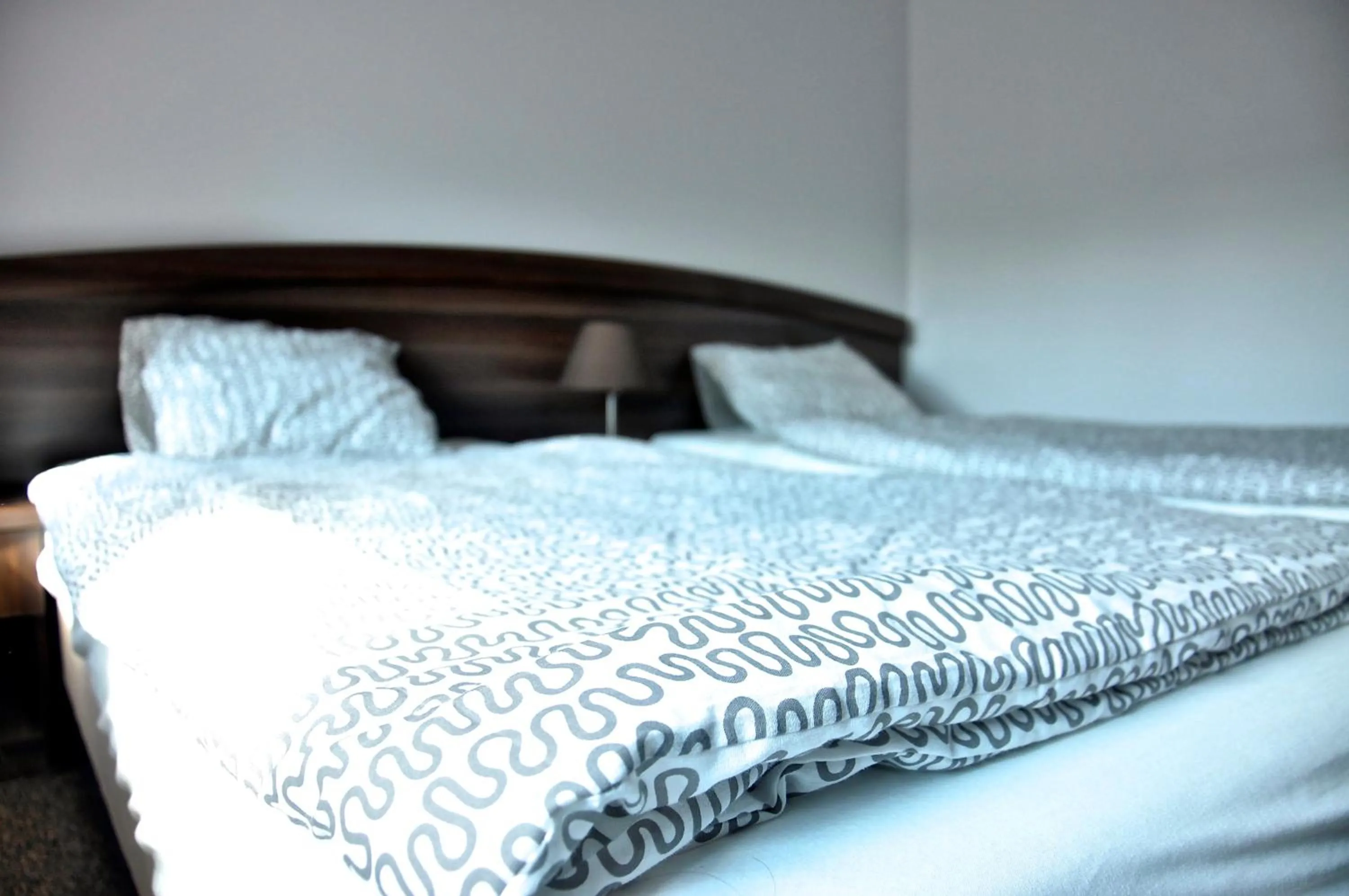 Bed in Maciejowa Chata